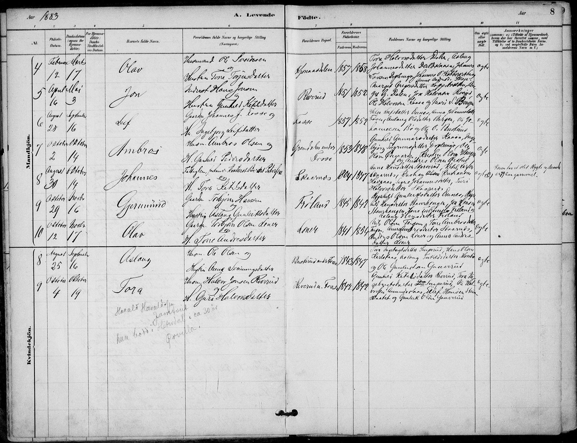 Hjartdal kirkebøker, AV/SAKO-A-270/F/Fb/L0002: Parish register (official) no. II 2, 1880-1932, p. 8