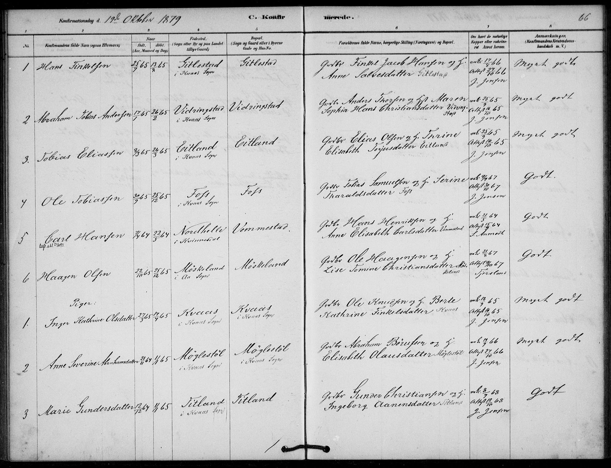 Lyngdal sokneprestkontor, SAK/1111-0029/F/Fa/Fab/L0003: Parish register (official) no. A 3, 1878-1903, p. 66