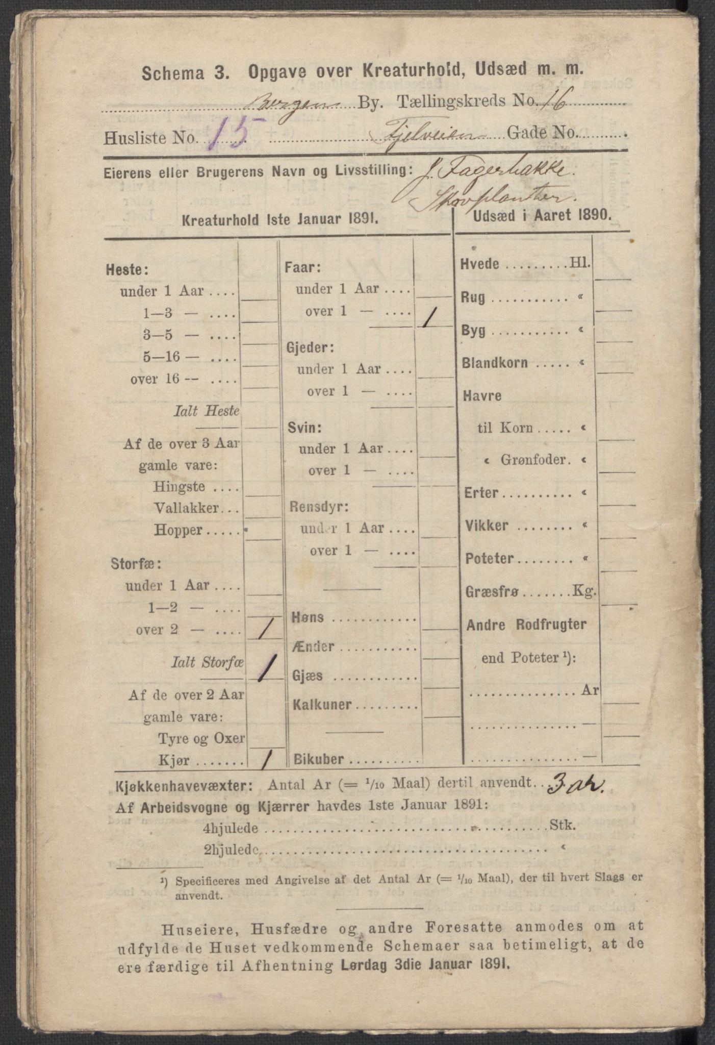 RA, 1891 Census for 1301 Bergen, 1891, p. 2496