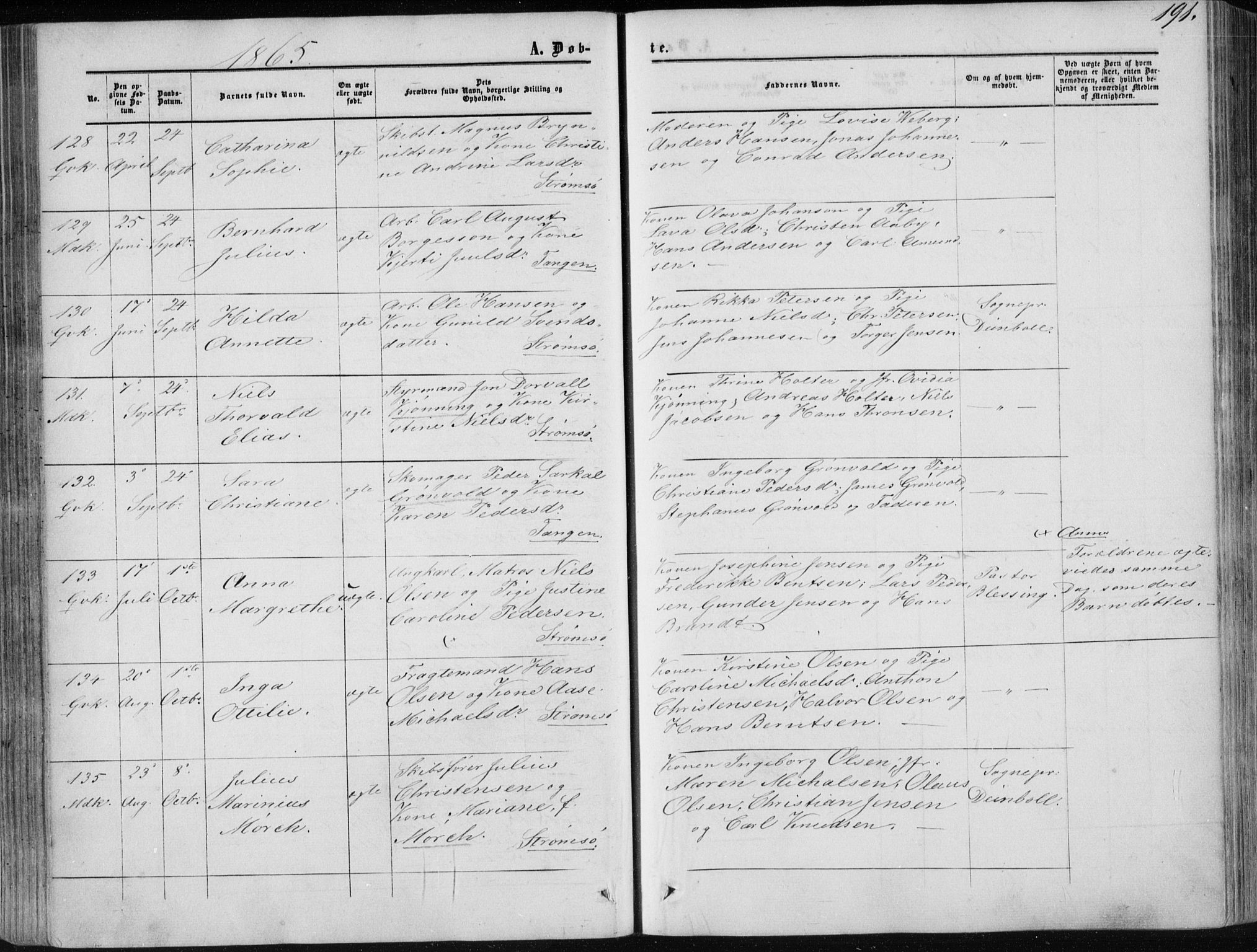 Strømsø kirkebøker, AV/SAKO-A-246/F/Fa/L0015: Parish register (official) no. I 15, 1859-1868, p. 191