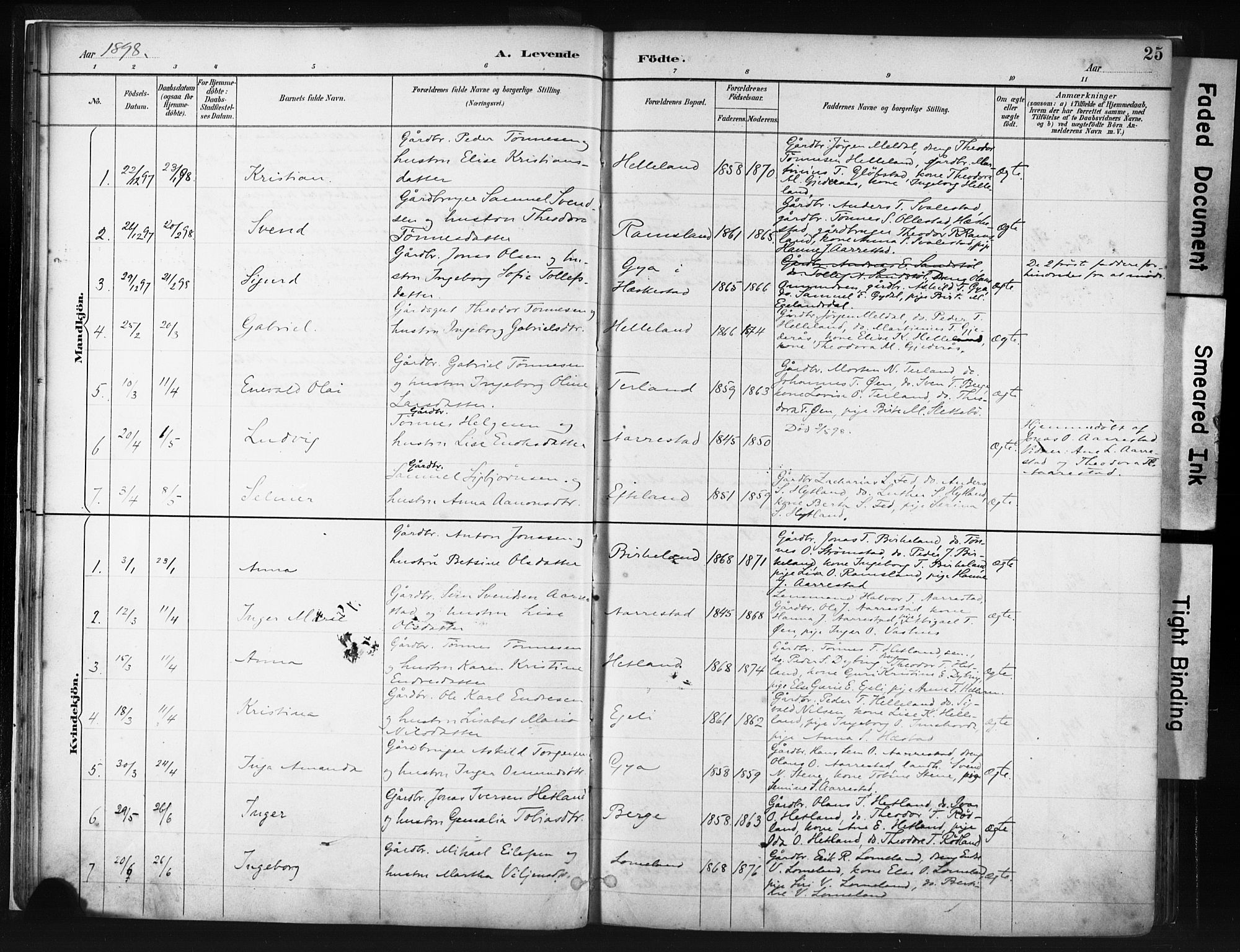 Helleland sokneprestkontor, AV/SAST-A-101810: Parish register (official) no. A 8, 1887-1907, p. 25