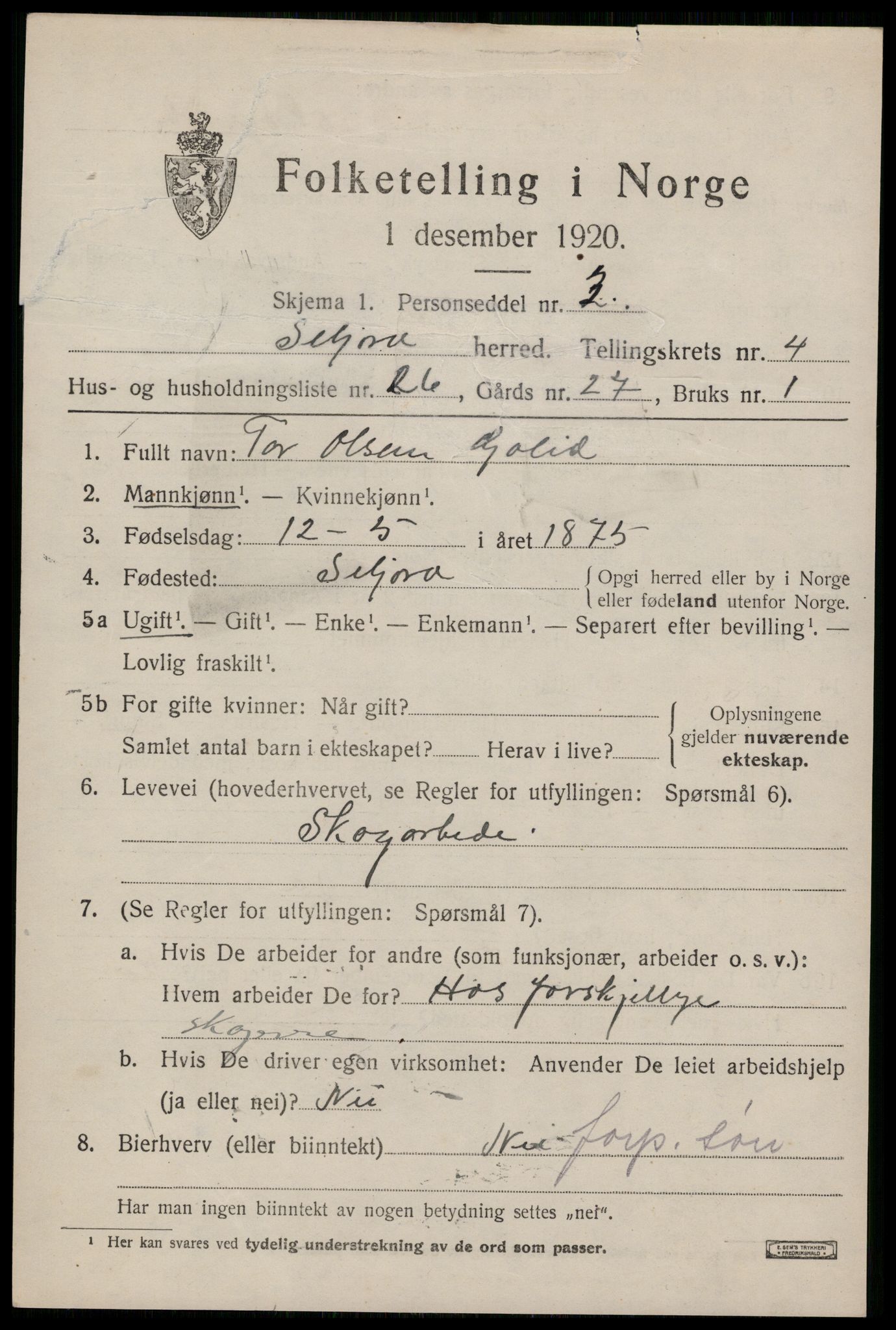 SAKO, 1920 census for Seljord, 1920, p. 2356