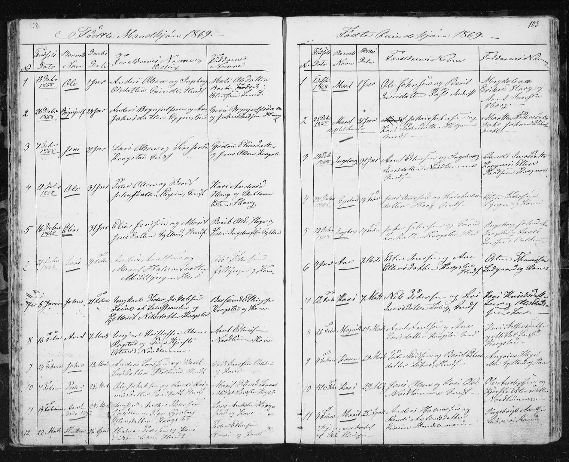 Ministerialprotokoller, klokkerbøker og fødselsregistre - Sør-Trøndelag, AV/SAT-A-1456/692/L1110: Parish register (copy) no. 692C05, 1849-1889, p. 103