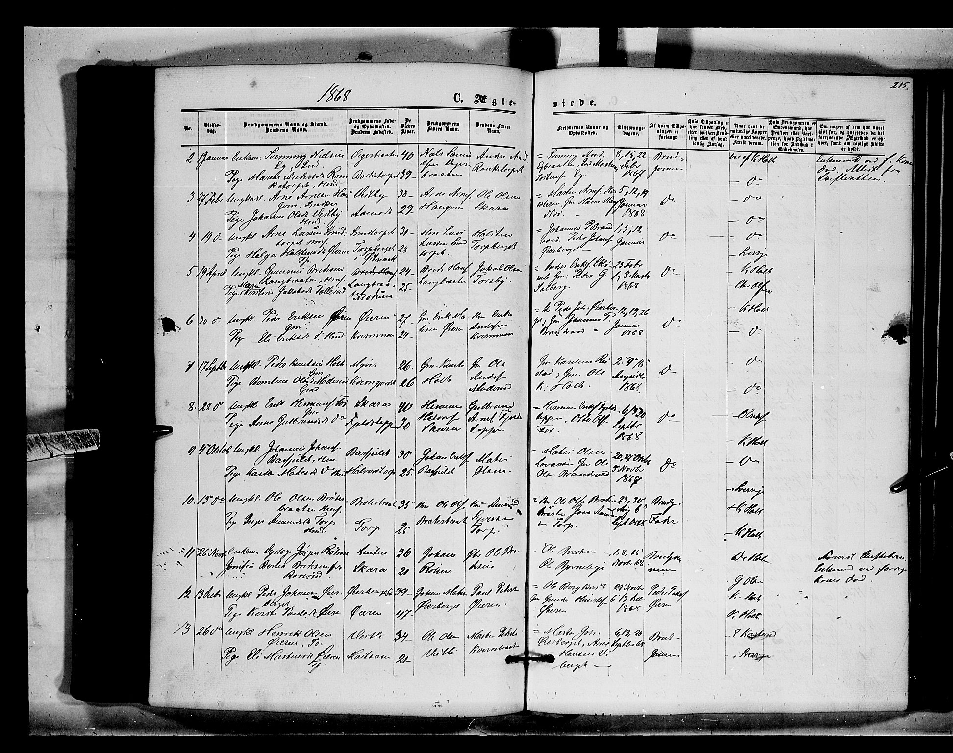 Brandval prestekontor, SAH/PREST-034/H/Ha/Haa/L0001: Parish register (official) no. 1, 1864-1879, p. 215