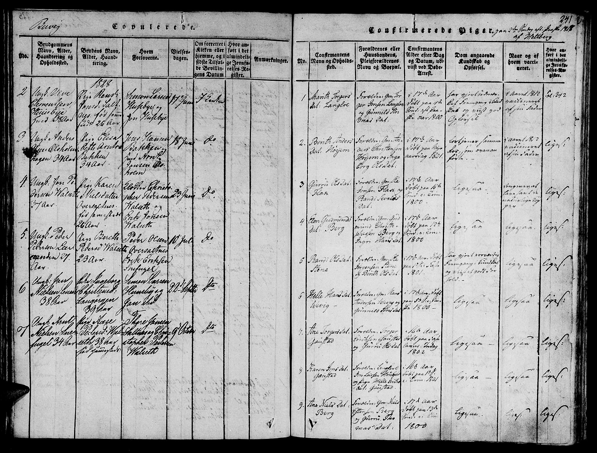 Ministerialprotokoller, klokkerbøker og fødselsregistre - Sør-Trøndelag, SAT/A-1456/612/L0372: Parish register (official) no. 612A06 /1, 1816-1828, p. 241