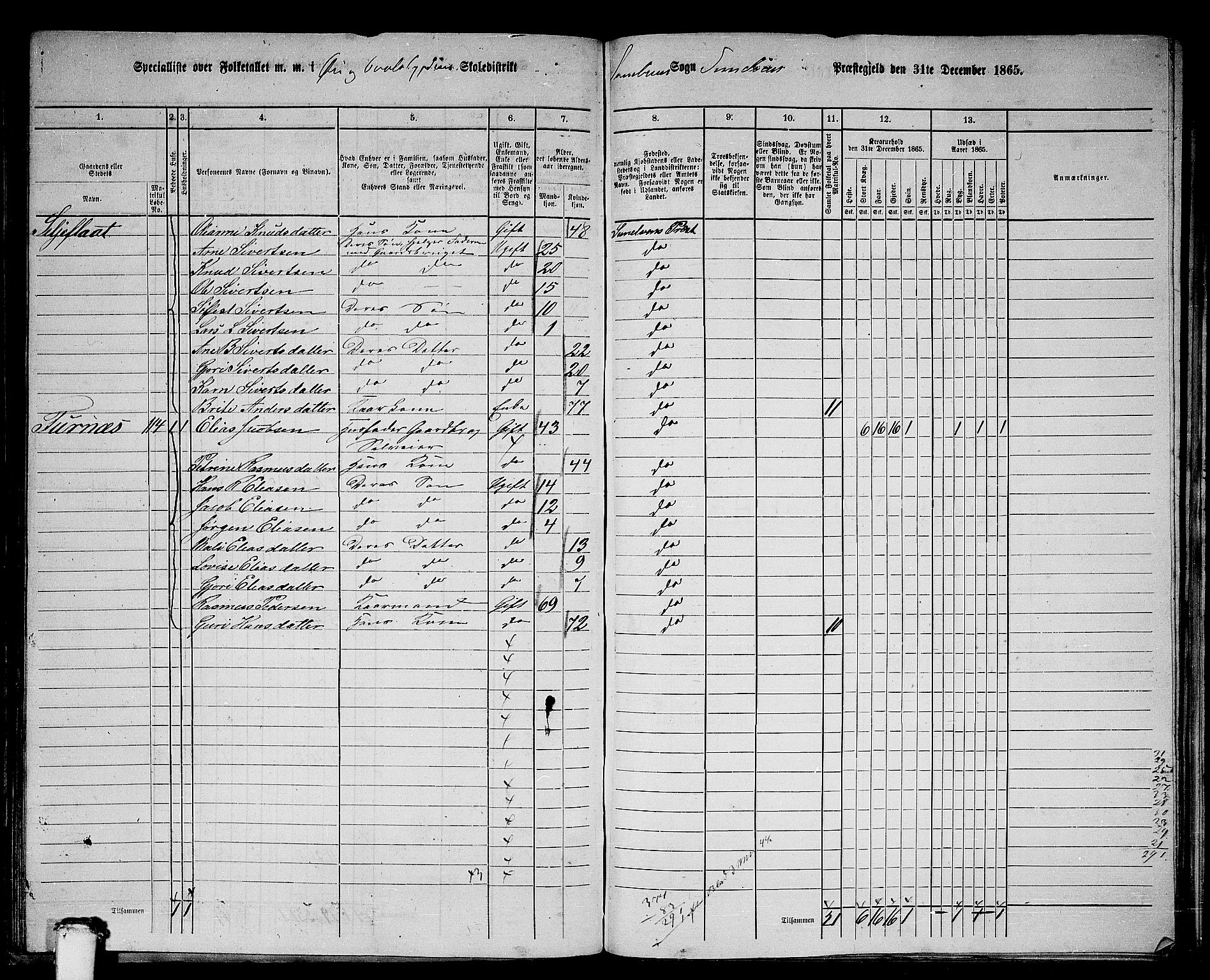 RA, 1865 census for Sunnylven, 1865, p. 55