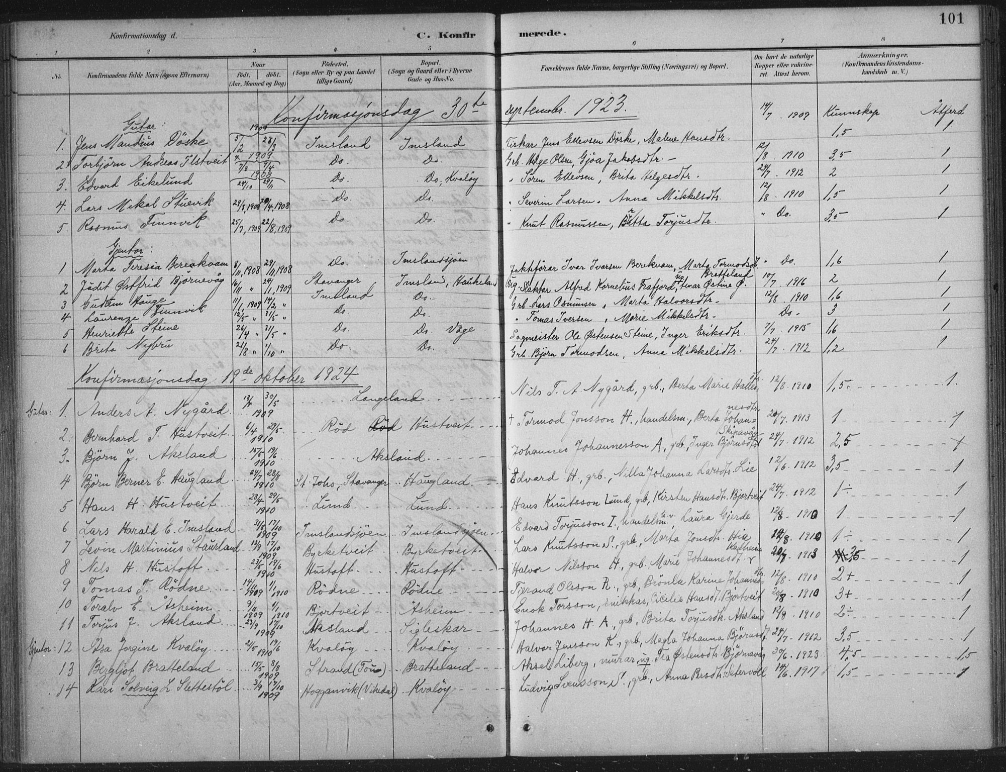 Vikedal sokneprestkontor, AV/SAST-A-101840/01/IV: Parish register (official) no. A 12, 1886-1929, p. 101