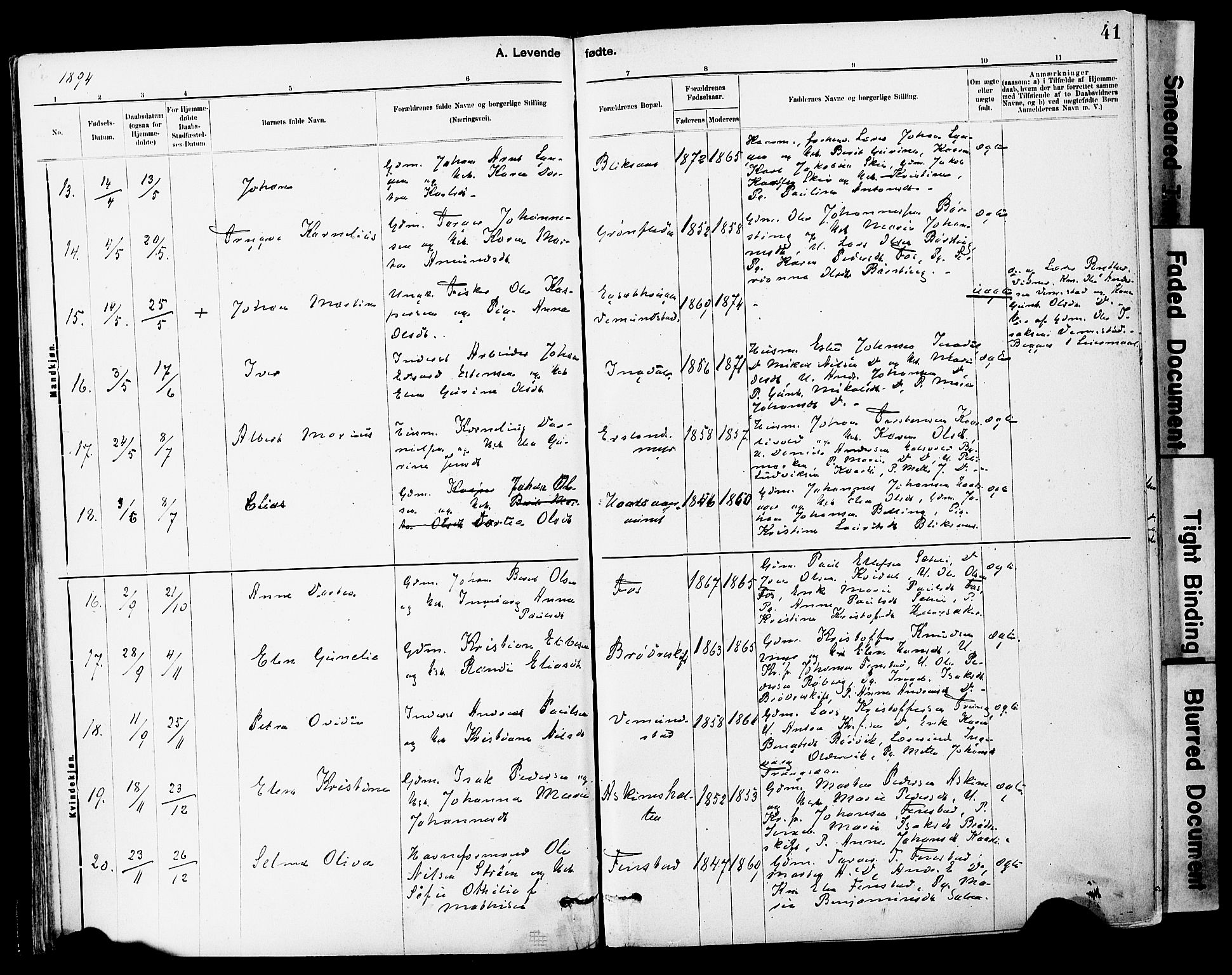Ministerialprotokoller, klokkerbøker og fødselsregistre - Sør-Trøndelag, SAT/A-1456/646/L0615: Parish register (official) no. 646A13, 1885-1900, p. 41