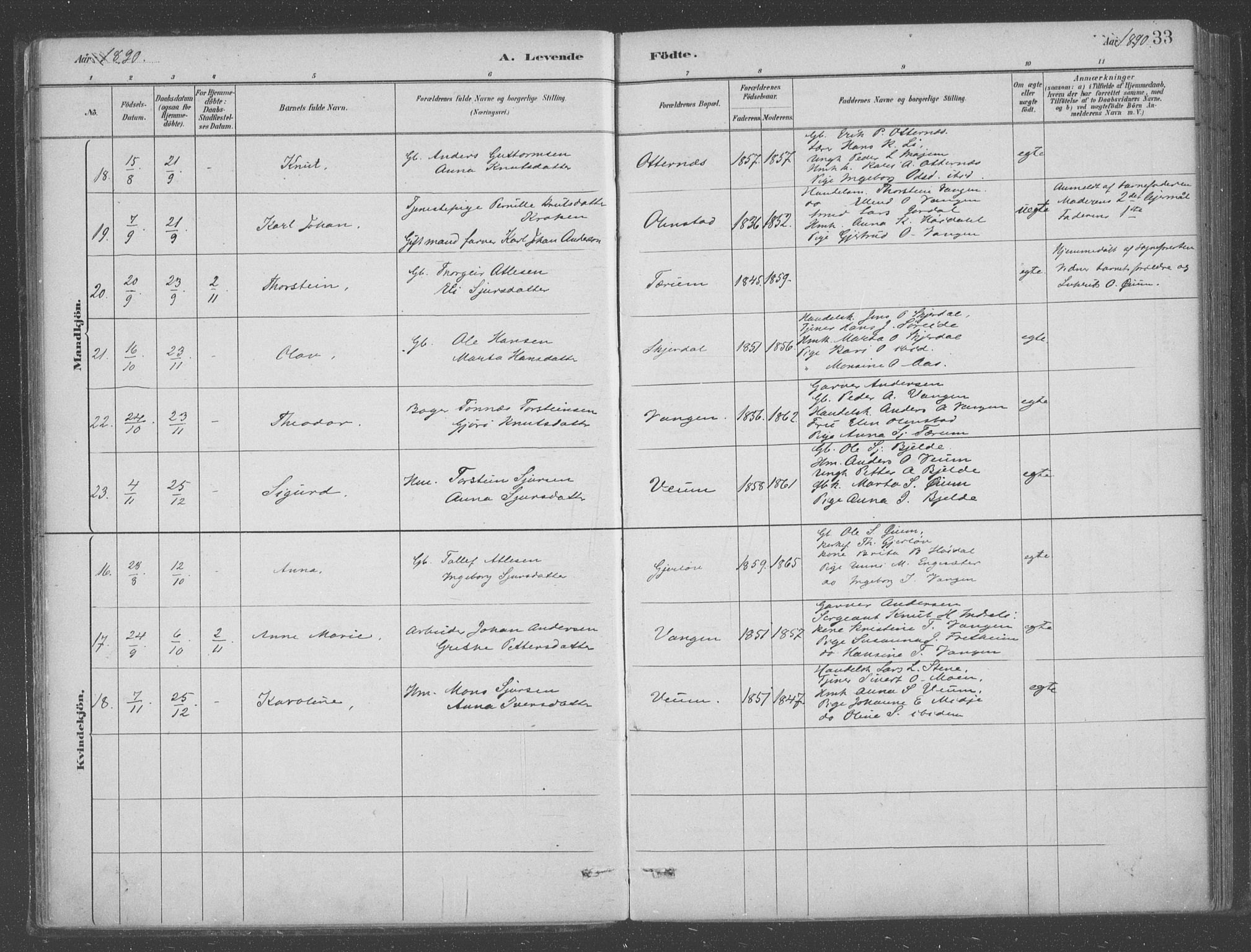 Aurland sokneprestembete, AV/SAB-A-99937/H/Ha/Hab/L0001: Parish register (official) no. B  1, 1880-1909, p. 33