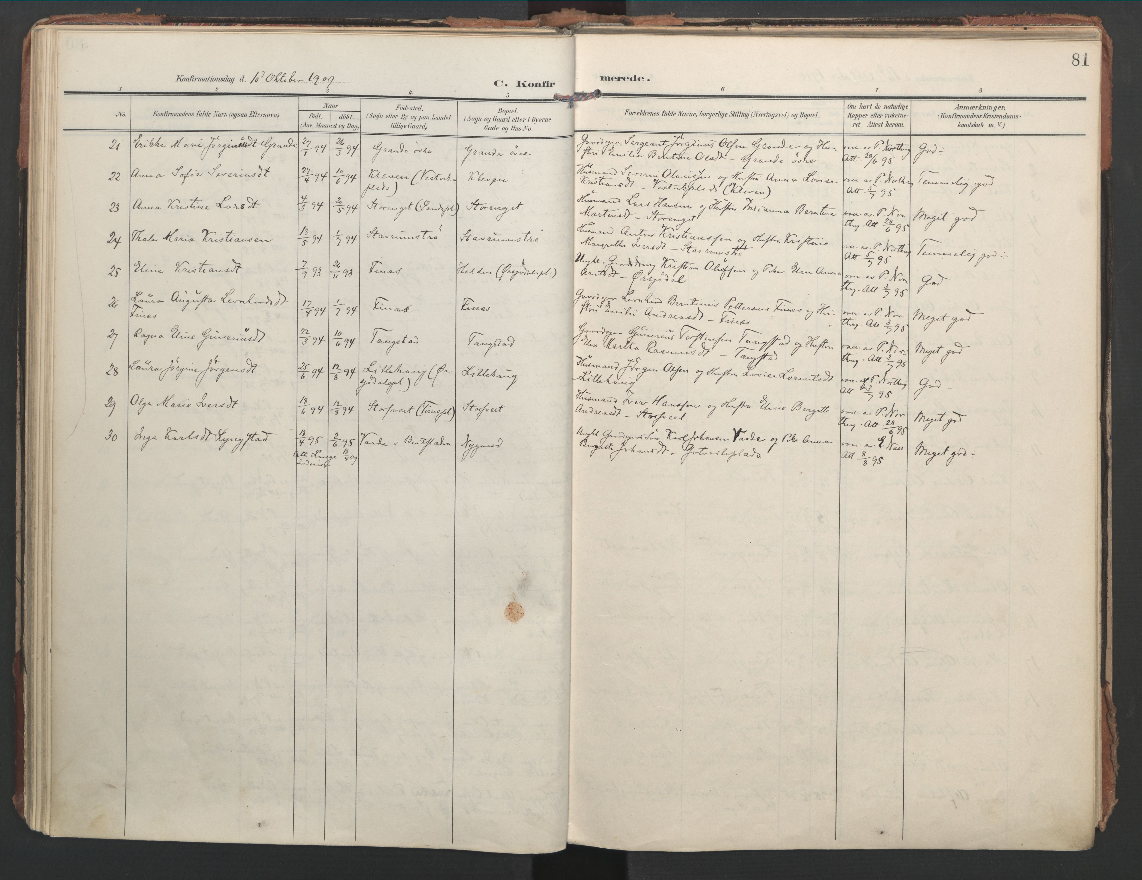 Ministerialprotokoller, klokkerbøker og fødselsregistre - Nord-Trøndelag, SAT/A-1458/744/L0421: Parish register (official) no. 744A05, 1905-1930, p. 81