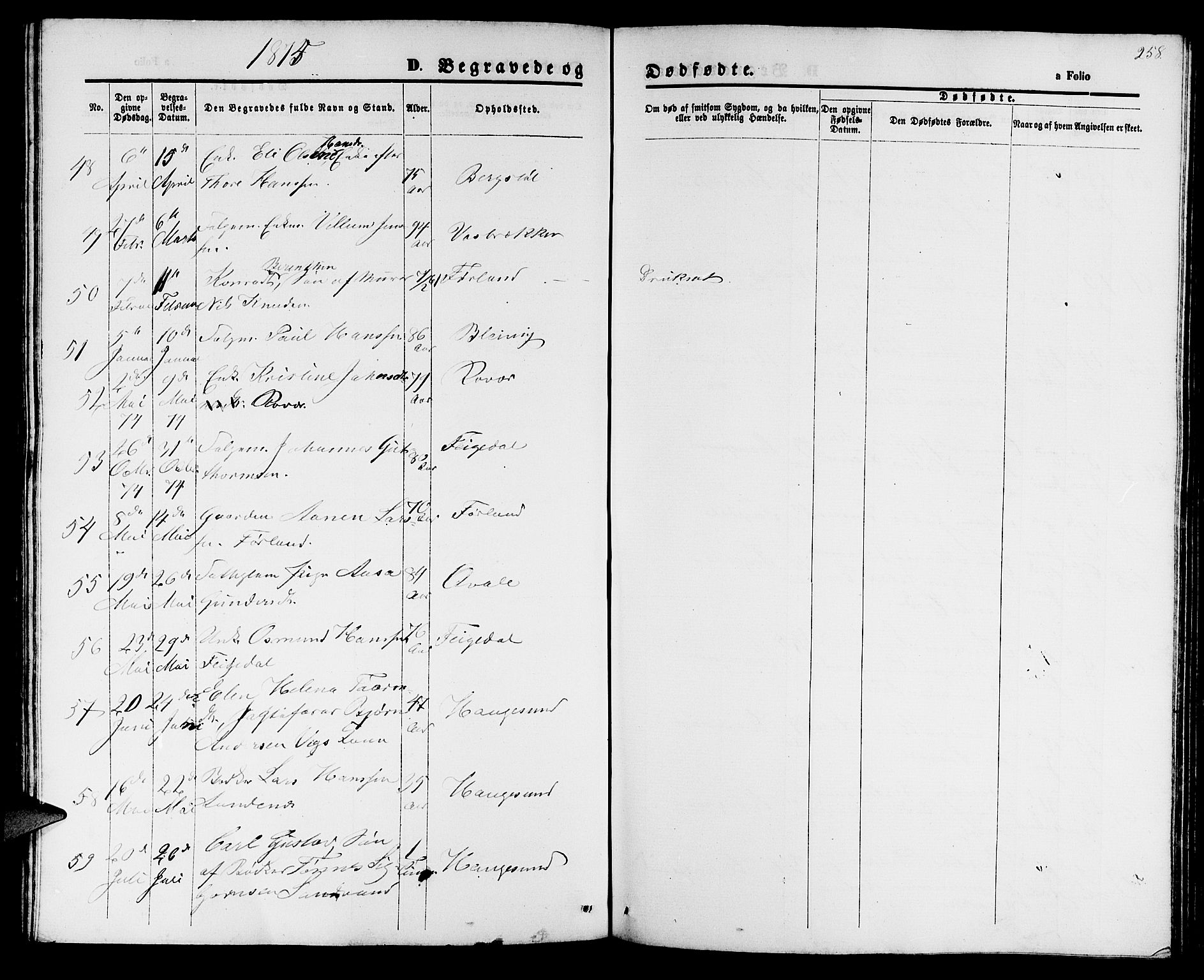 Haugesund sokneprestkontor, AV/SAST-A -101863/H/Ha/Hab/L0001: Parish register (copy) no. B 1, 1873-1881, p. 258