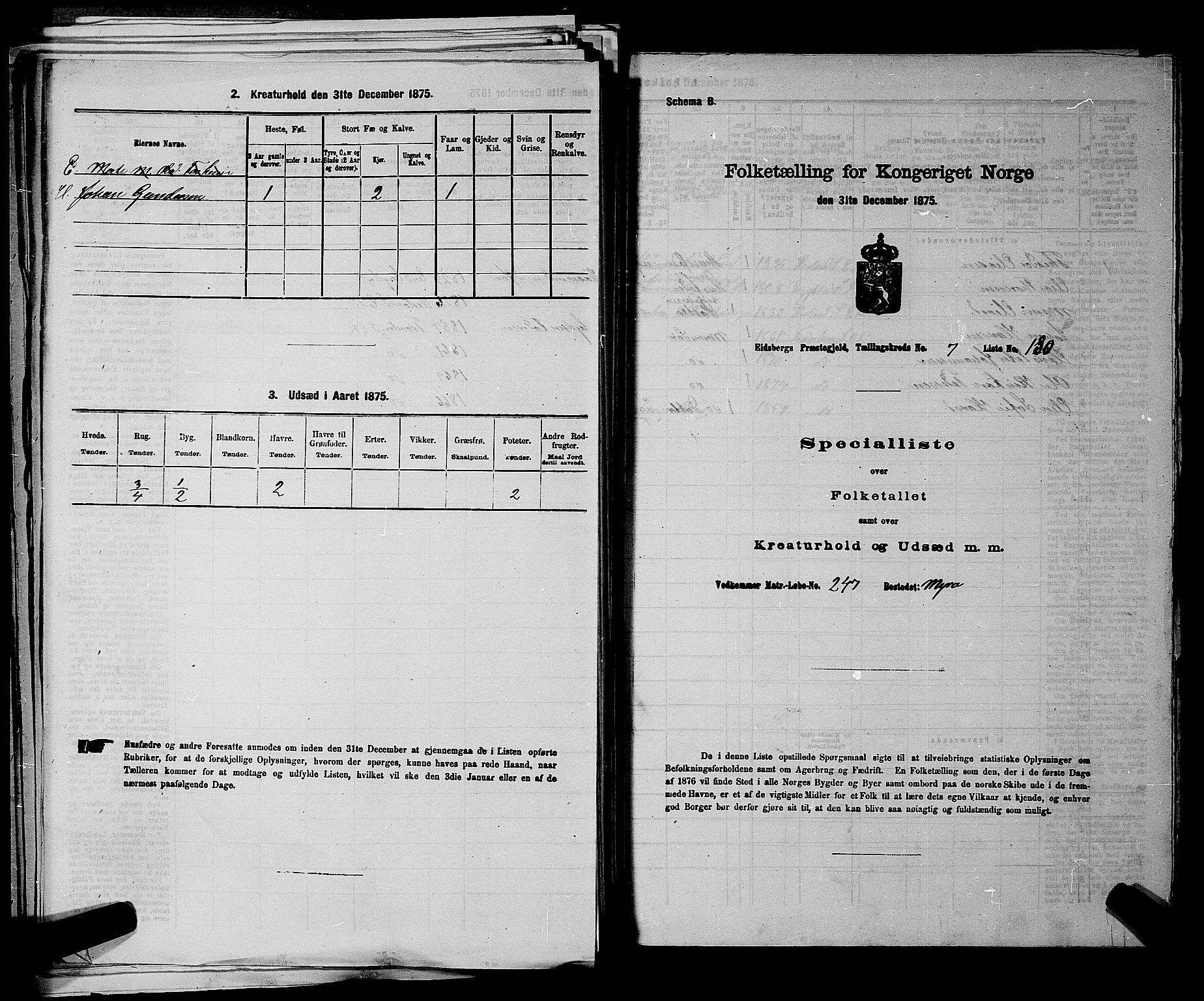 RA, 1875 census for 0125P Eidsberg, 1875, p. 1615