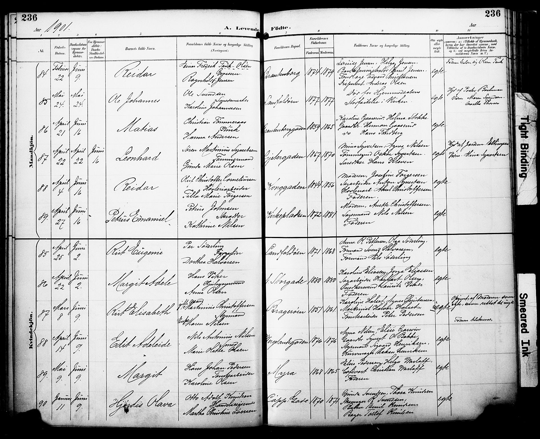 Bragernes kirkebøker, SAKO/A-6/F/Fb/L0008: Parish register (official) no. II 8, 1894-1902, p. 236