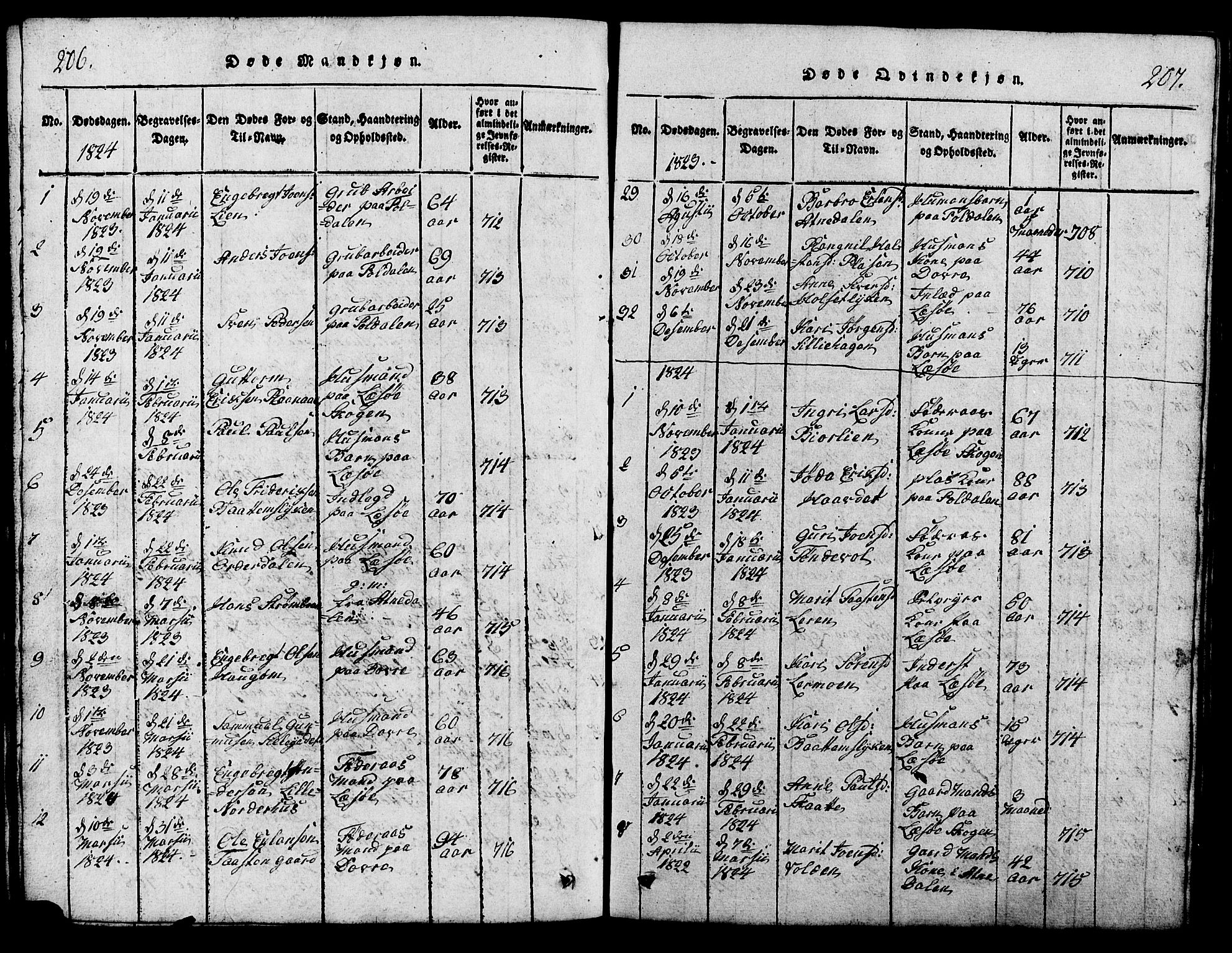 Lesja prestekontor, SAH/PREST-068/H/Ha/Hab/L0001: Parish register (copy) no. 1, 1820-1831, p. 206-207