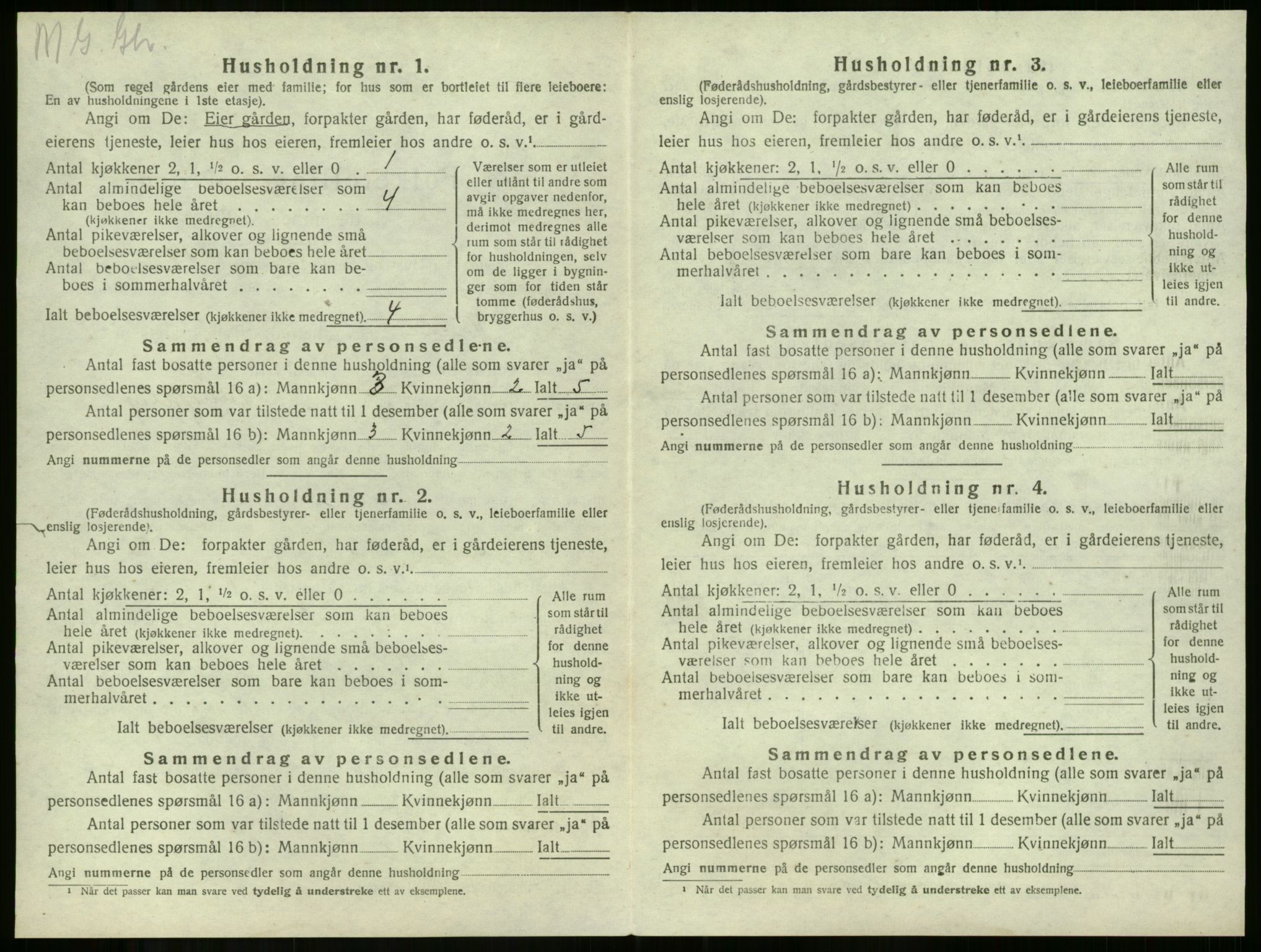 SAKO, 1920 census for Våle, 1920, p. 894
