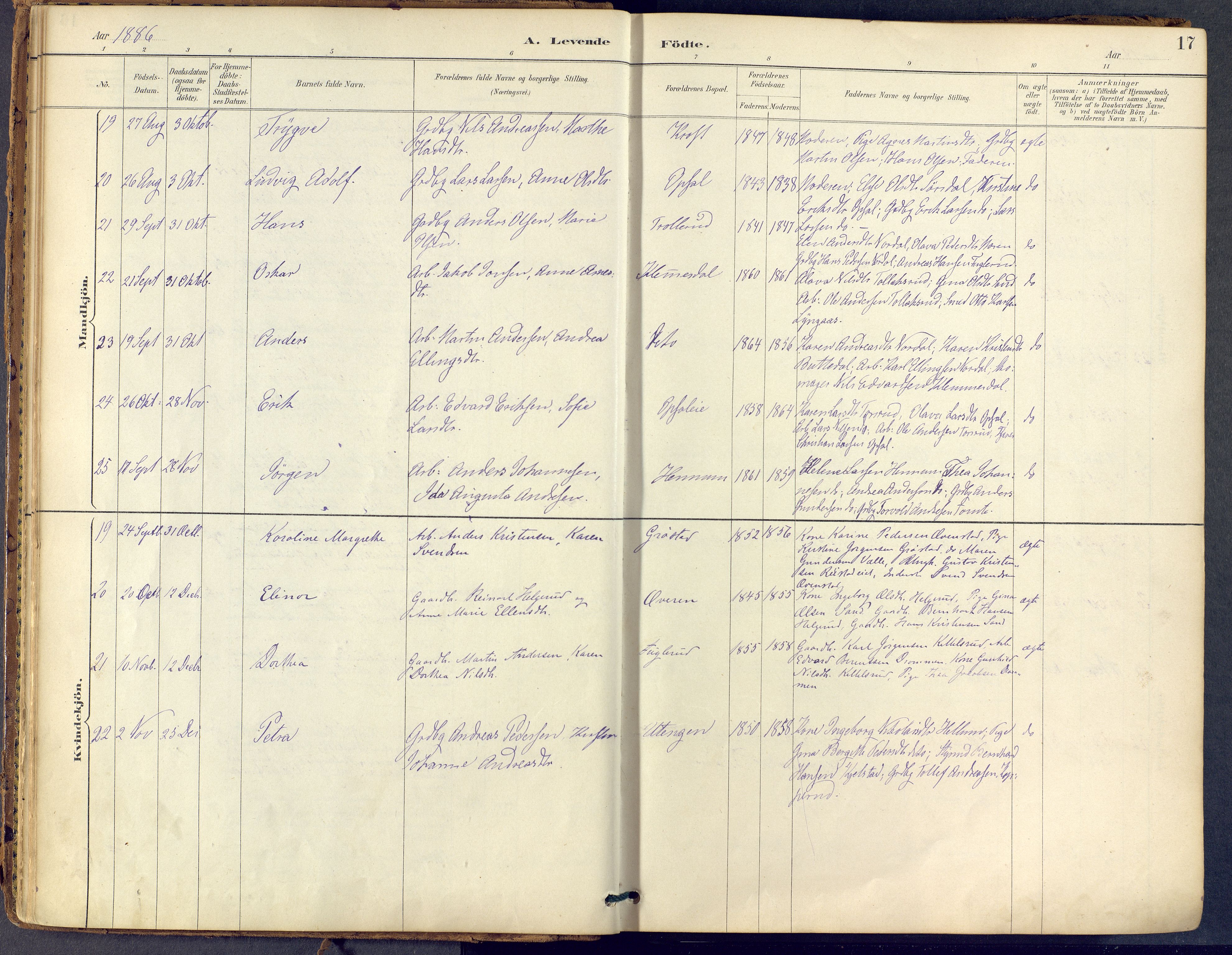 Lier kirkebøker, AV/SAKO-A-230/F/Fb/L0001: Parish register (official) no. II 1, 1883-1910, p. 17