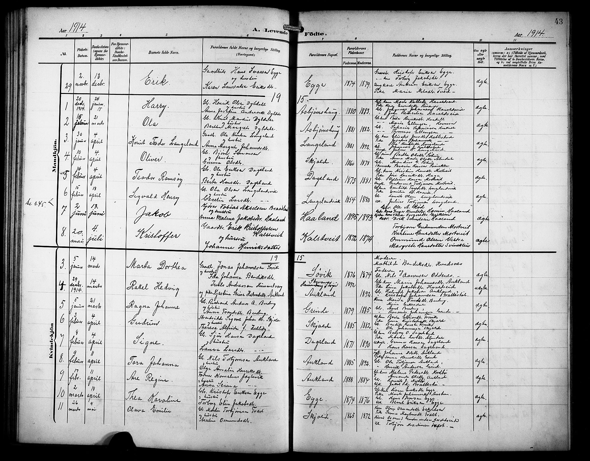 Skjold sokneprestkontor, AV/SAST-A-101847/H/Ha/Hab/L0008: Parish register (copy) no. B 8, 1906-1920, p. 43