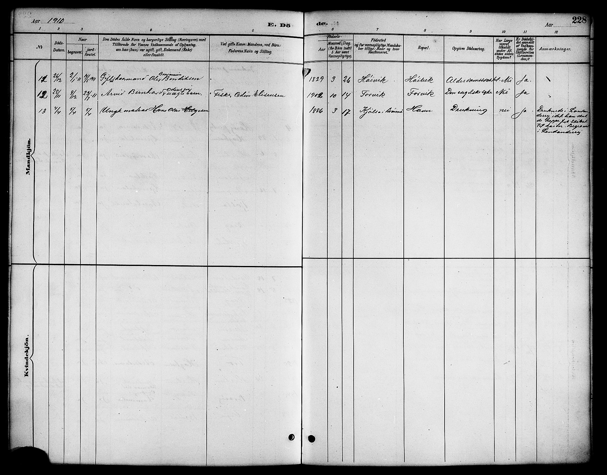 Ministerialprotokoller, klokkerbøker og fødselsregistre - Nordland, AV/SAT-A-1459/819/L0277: Parish register (copy) no. 819C03, 1888-1917, p. 228