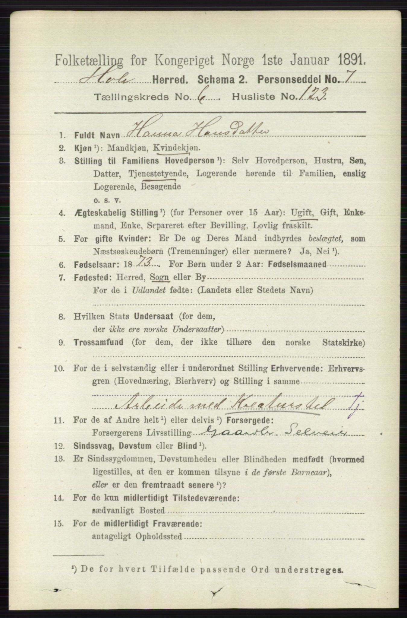 RA, 1891 census for 0612 Hole, 1891, p. 3873