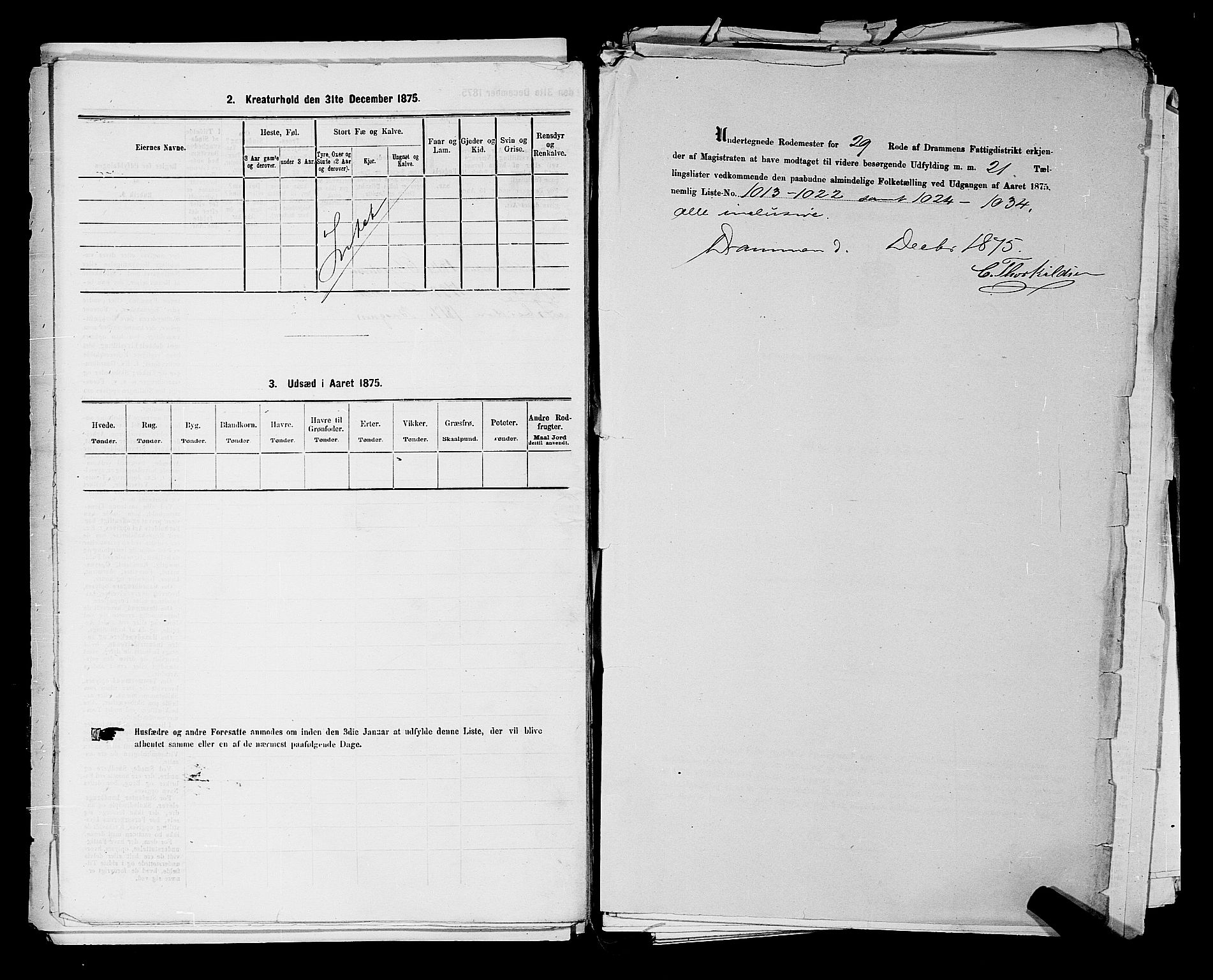 SAKO, 1875 census for 0602 Drammen, 1875, p. 2726