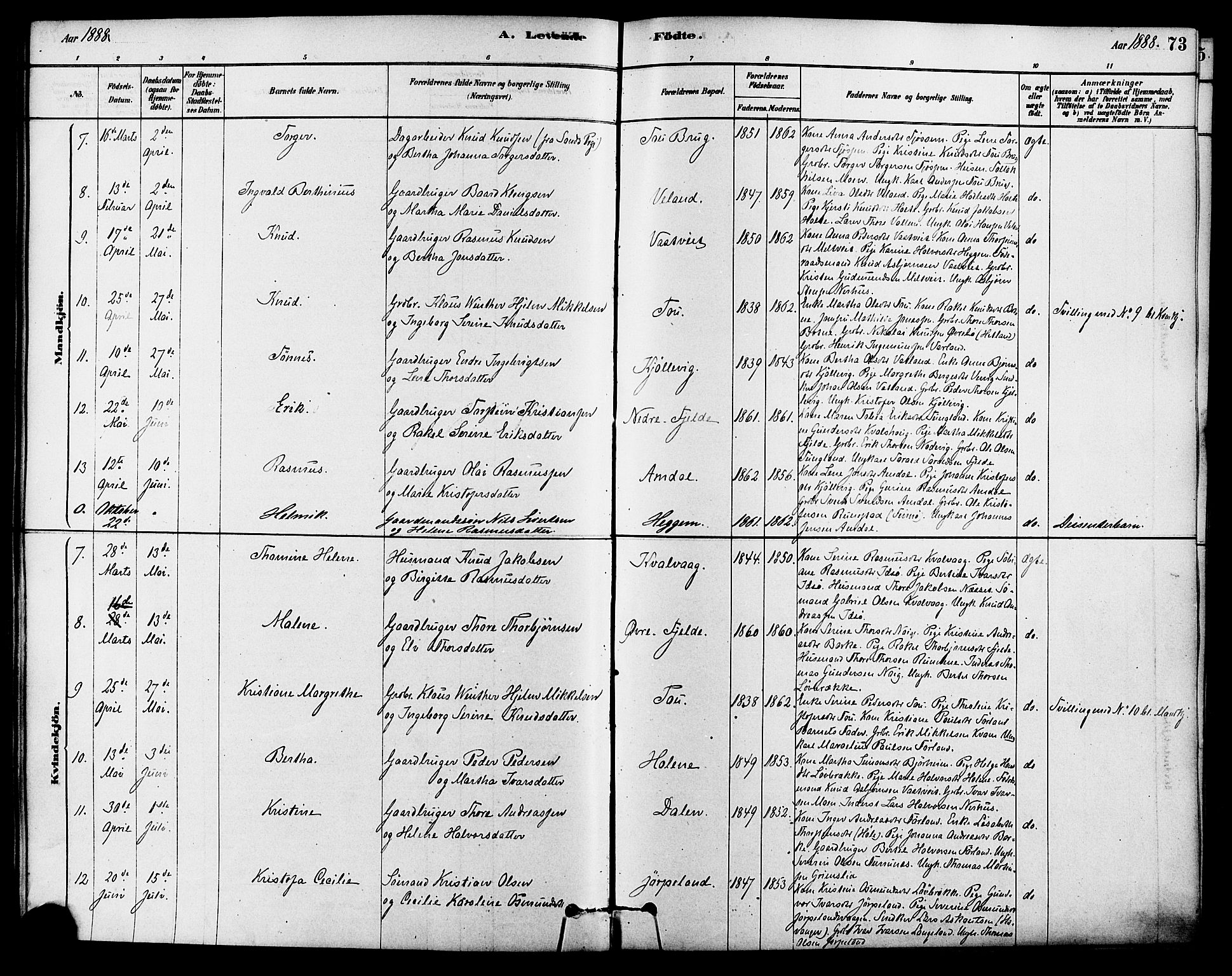 Strand sokneprestkontor, SAST/A-101828/H/Ha/Haa/L0009: Parish register (official) no. A 9, 1877-1908, p. 73