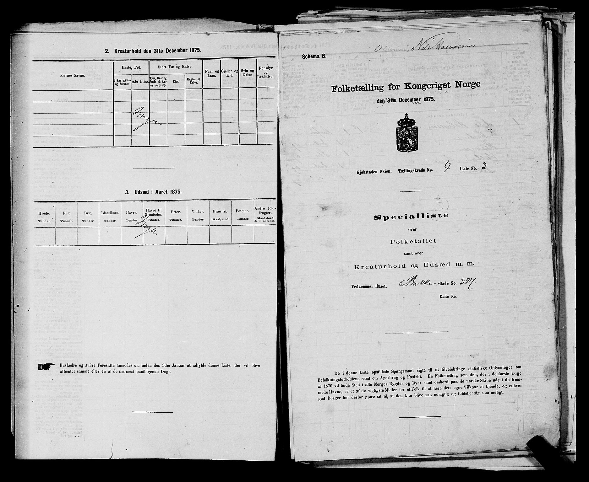 SAKO, 1875 census for 0806P Skien, 1875, p. 690