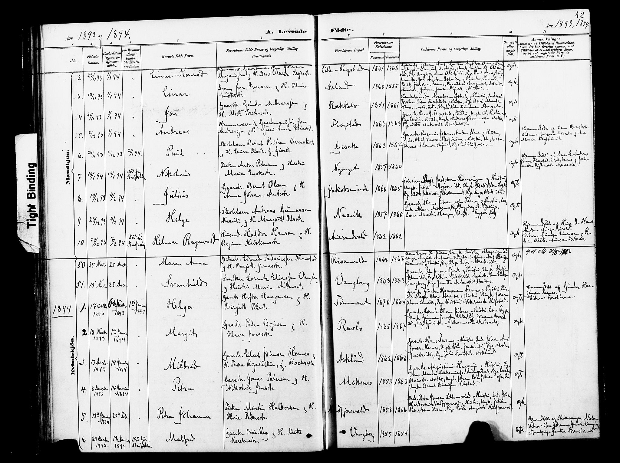 Ministerialprotokoller, klokkerbøker og fødselsregistre - Nord-Trøndelag, AV/SAT-A-1458/713/L0121: Parish register (official) no. 713A10, 1888-1898, p. 42