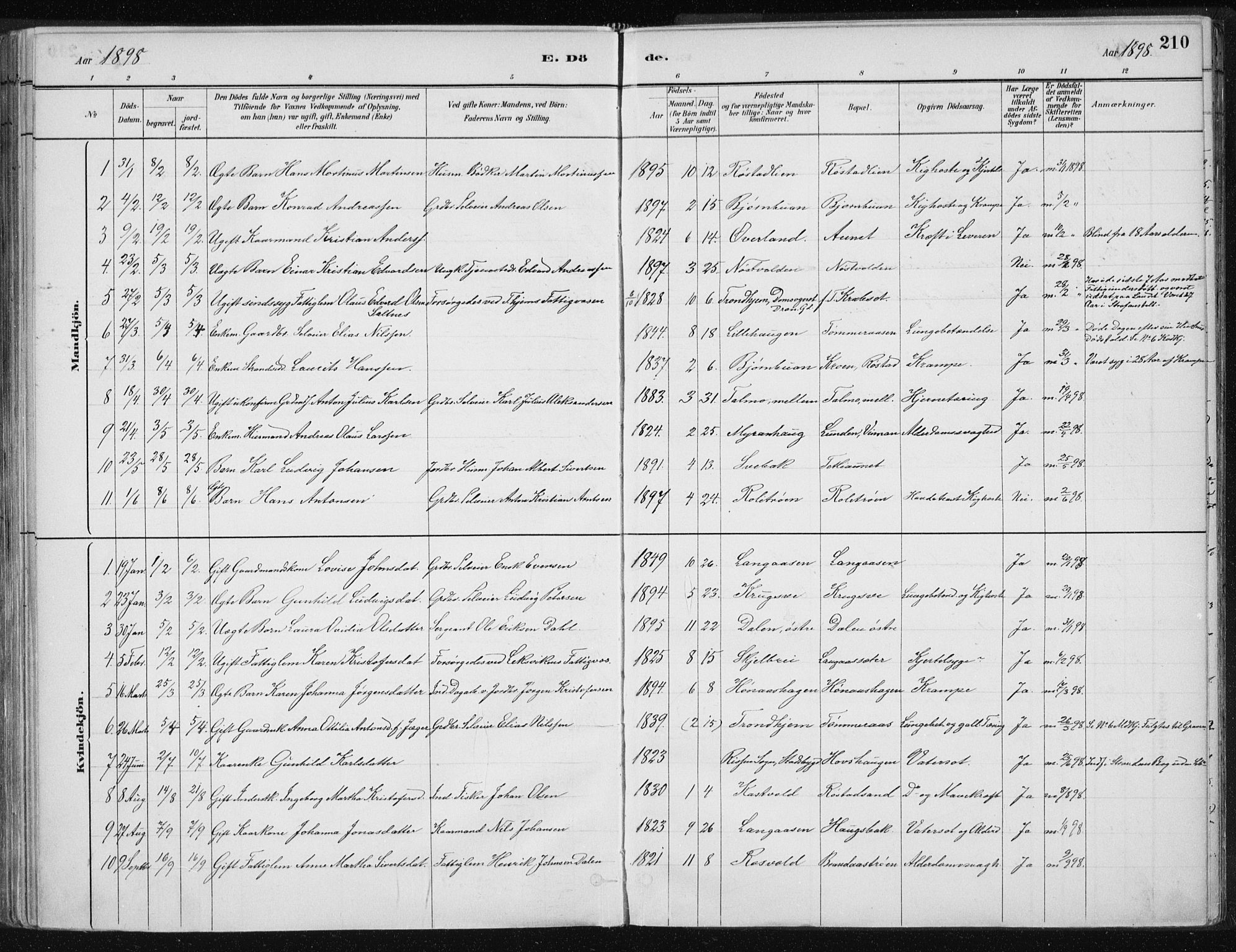 Ministerialprotokoller, klokkerbøker og fødselsregistre - Nord-Trøndelag, SAT/A-1458/701/L0010: Parish register (official) no. 701A10, 1883-1899, p. 210