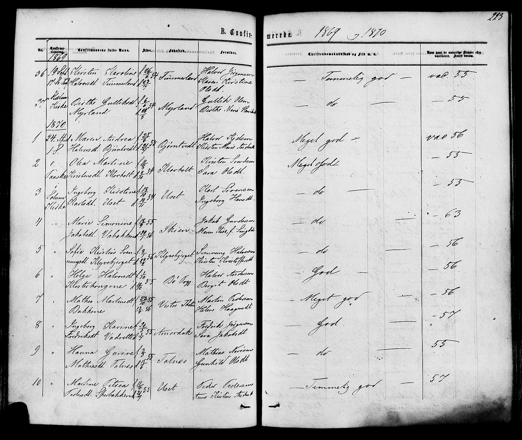 Solum kirkebøker, SAKO/A-306/F/Fa/L0008: Parish register (official) no. I 8, 1865-1876, p. 223