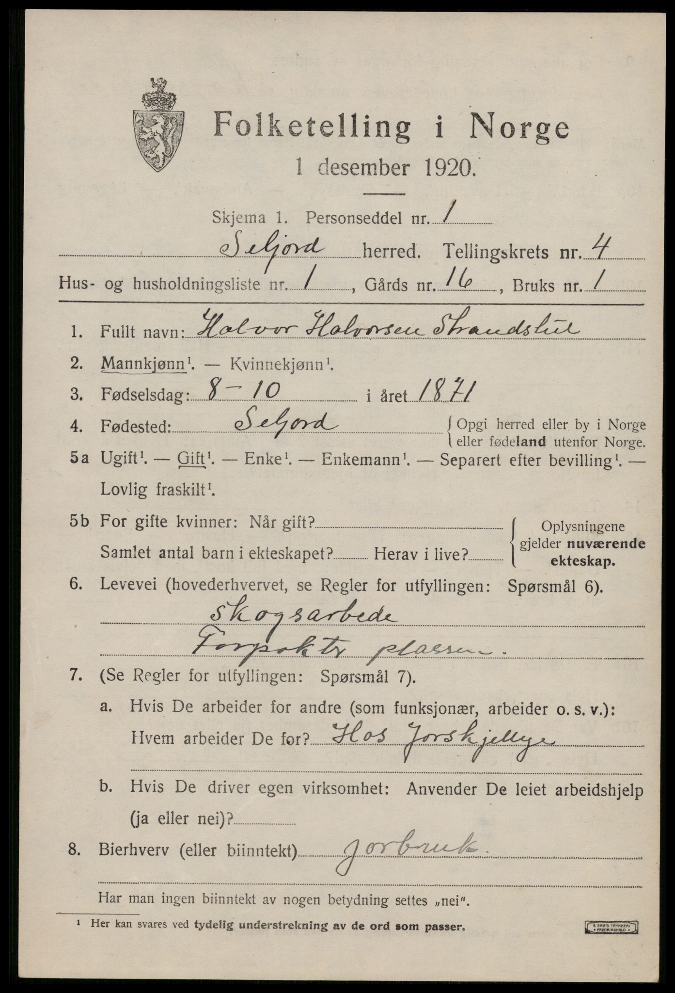 SAKO, 1920 census for Seljord, 1920, p. 2090