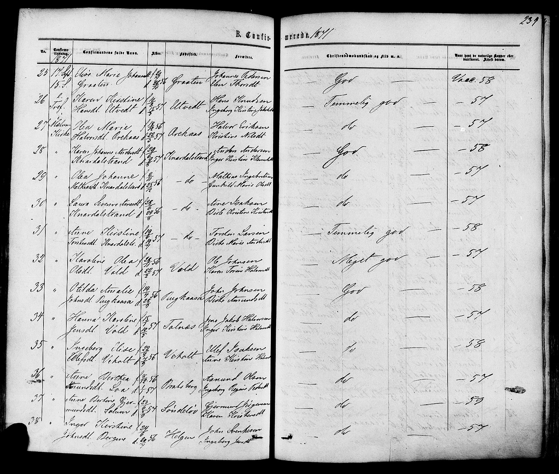 Solum kirkebøker, SAKO/A-306/F/Fa/L0008: Parish register (official) no. I 8, 1865-1876, p. 239