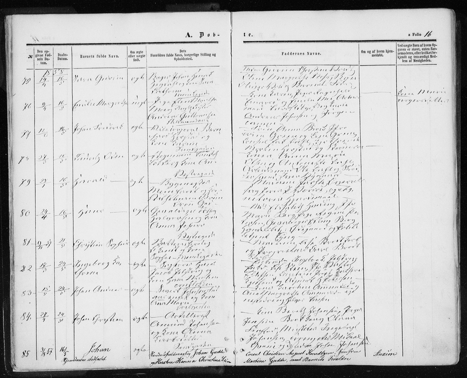 Ministerialprotokoller, klokkerbøker og fødselsregistre - Sør-Trøndelag, SAT/A-1456/601/L0053: Parish register (official) no. 601A21, 1857-1865, p. 16