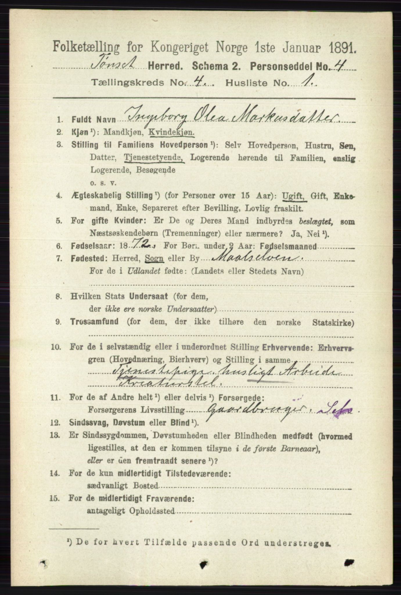 RA, 1891 census for 0437 Tynset, 1891, p. 780