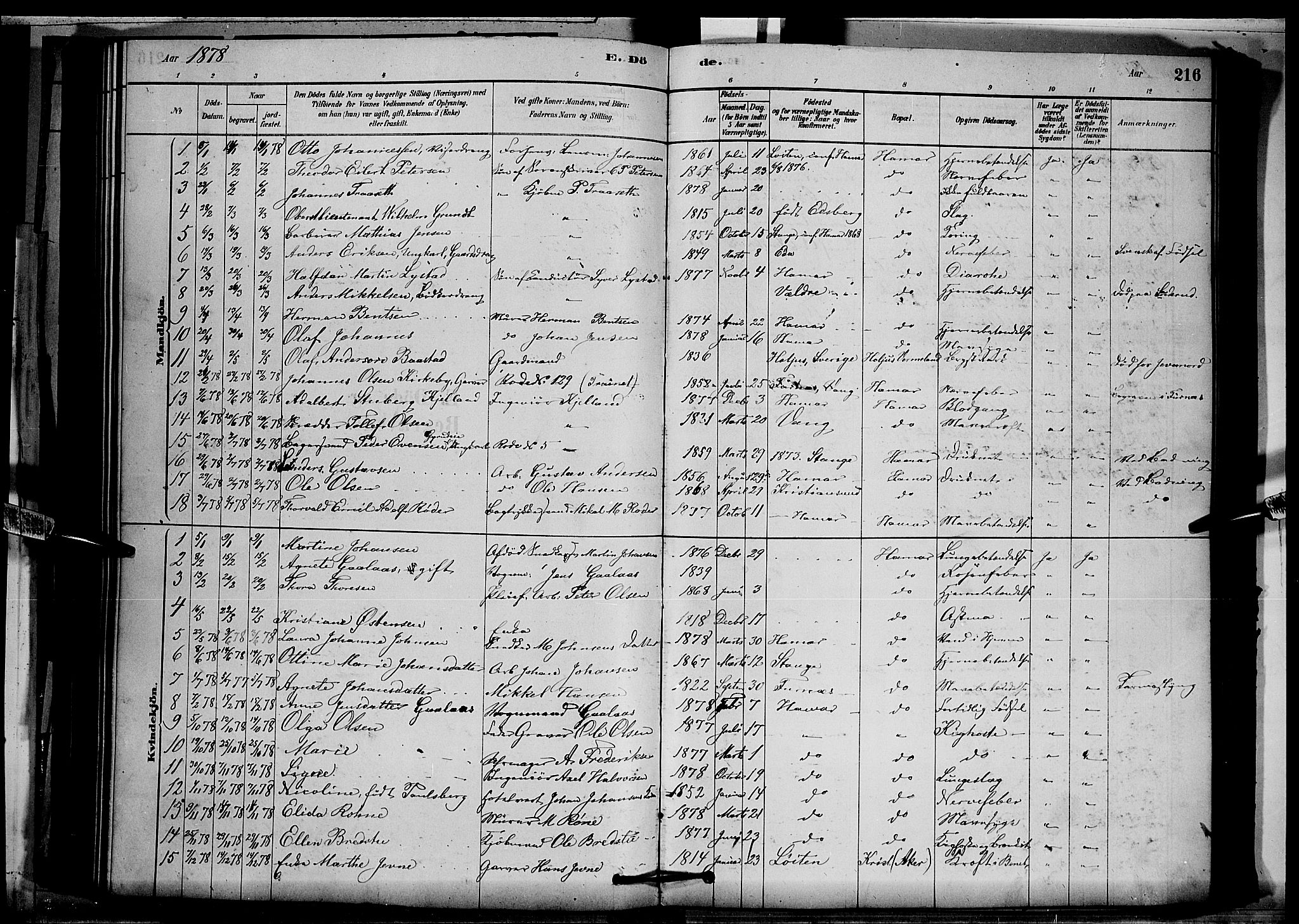 Vang prestekontor, Hedmark, SAH/PREST-008/H/Ha/Hab/L0012: Parish register (copy) no. 12, 1878-1889, p. 216