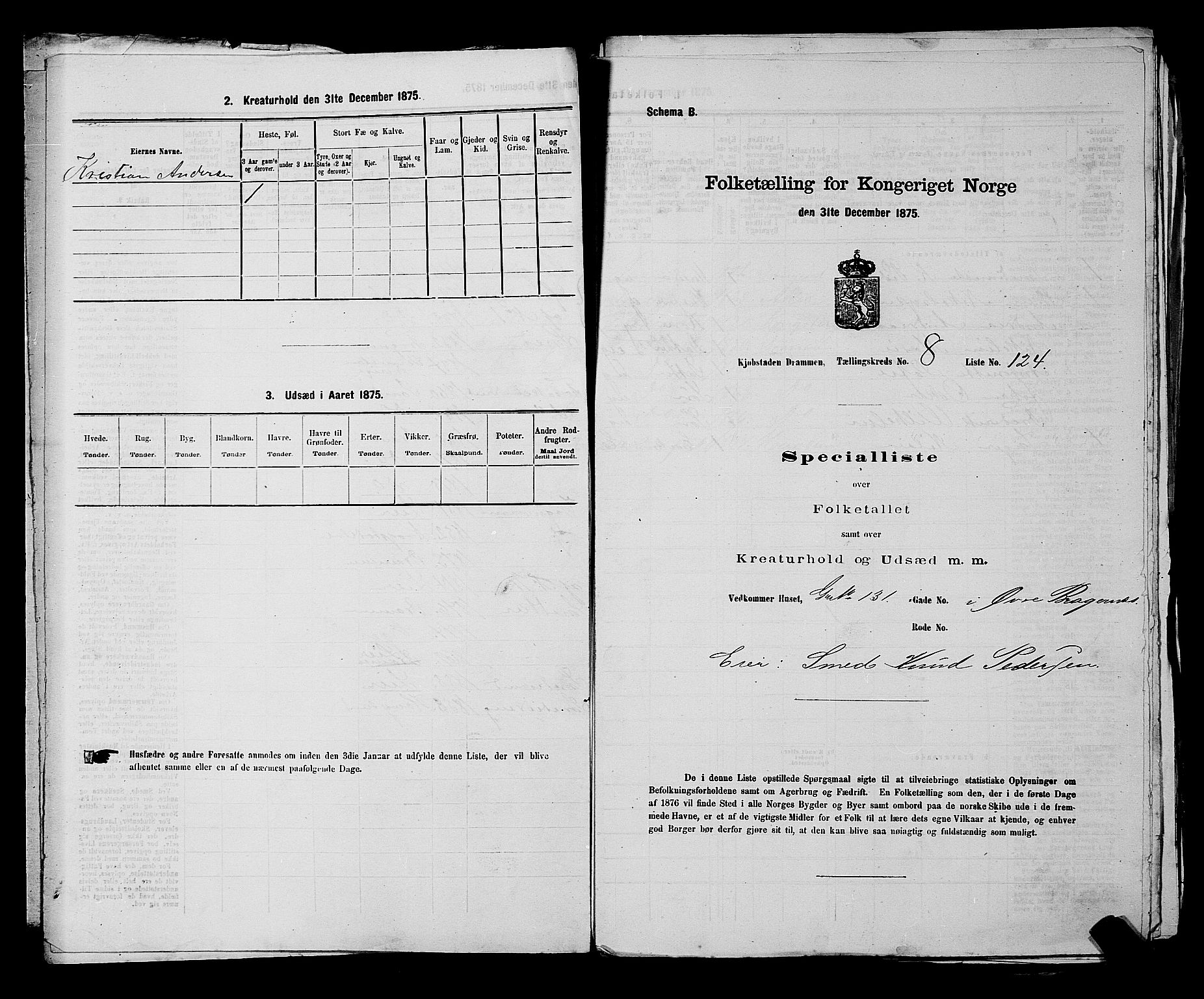 SAKO, 1875 census for 0602 Drammen, 1875, p. 676