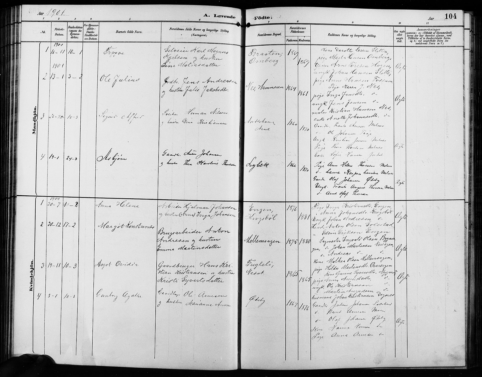 Enebakk prestekontor Kirkebøker, SAO/A-10171c/G/Ga/L0006: Parish register (copy) no. I 6, 1889-1911, p. 104