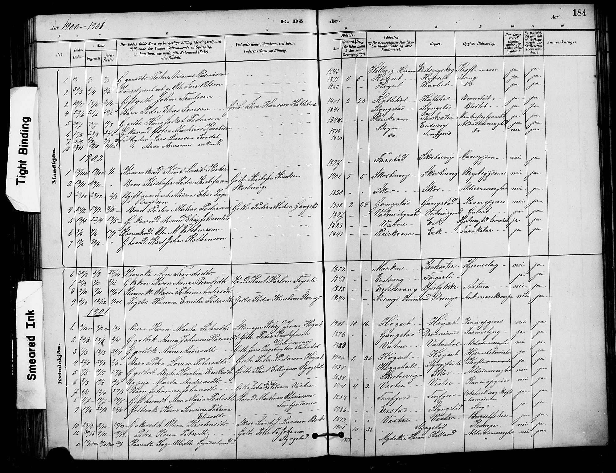 Ministerialprotokoller, klokkerbøker og fødselsregistre - Møre og Romsdal, AV/SAT-A-1454/525/L0376: Parish register (copy) no. 525C02, 1880-1902, p. 184