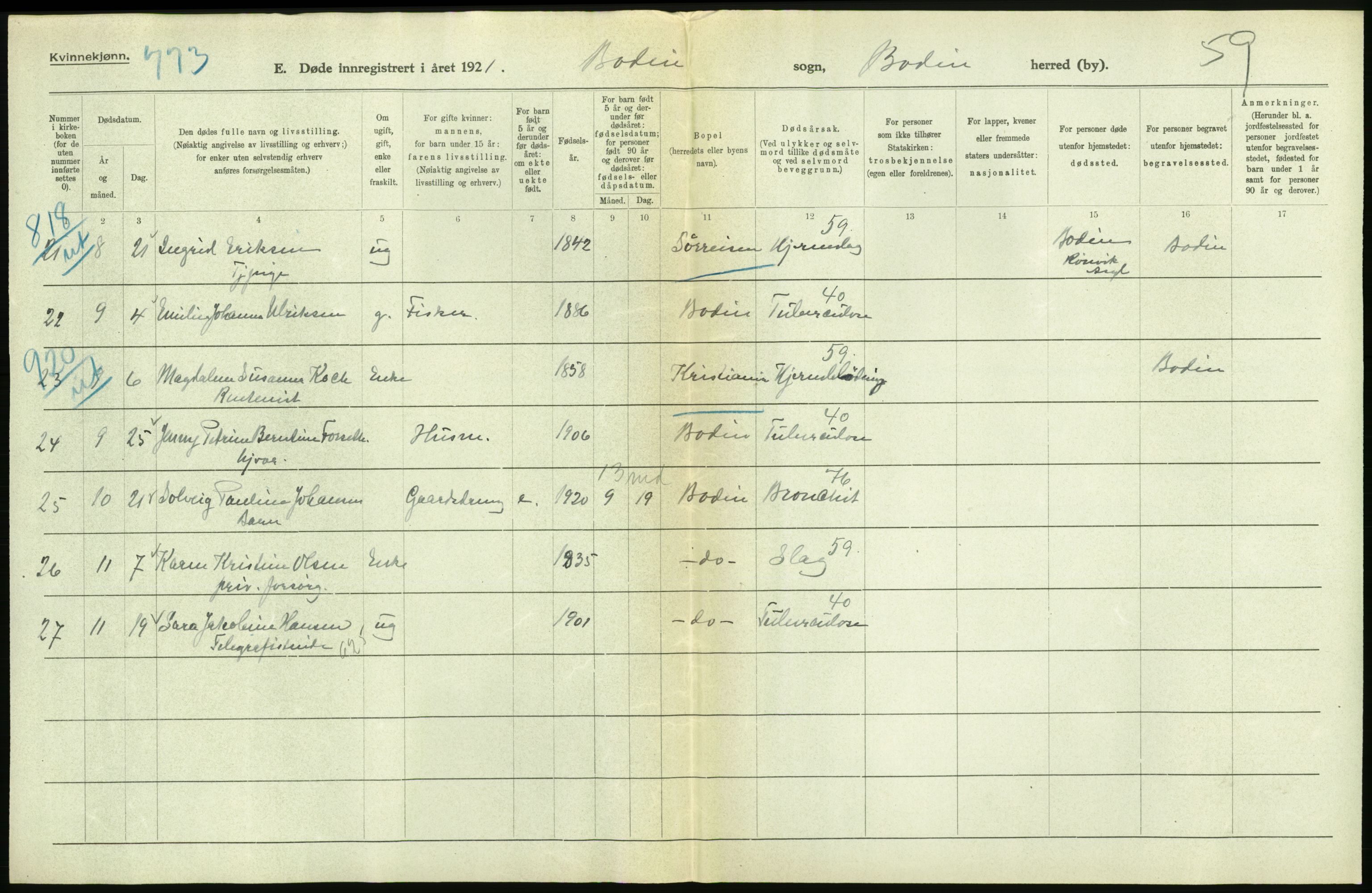 Statistisk sentralbyrå, Sosiodemografiske emner, Befolkning, AV/RA-S-2228/D/Df/Dfc/Dfca/L0051: Nordland fylke: Døde. Bygder og byer., 1921