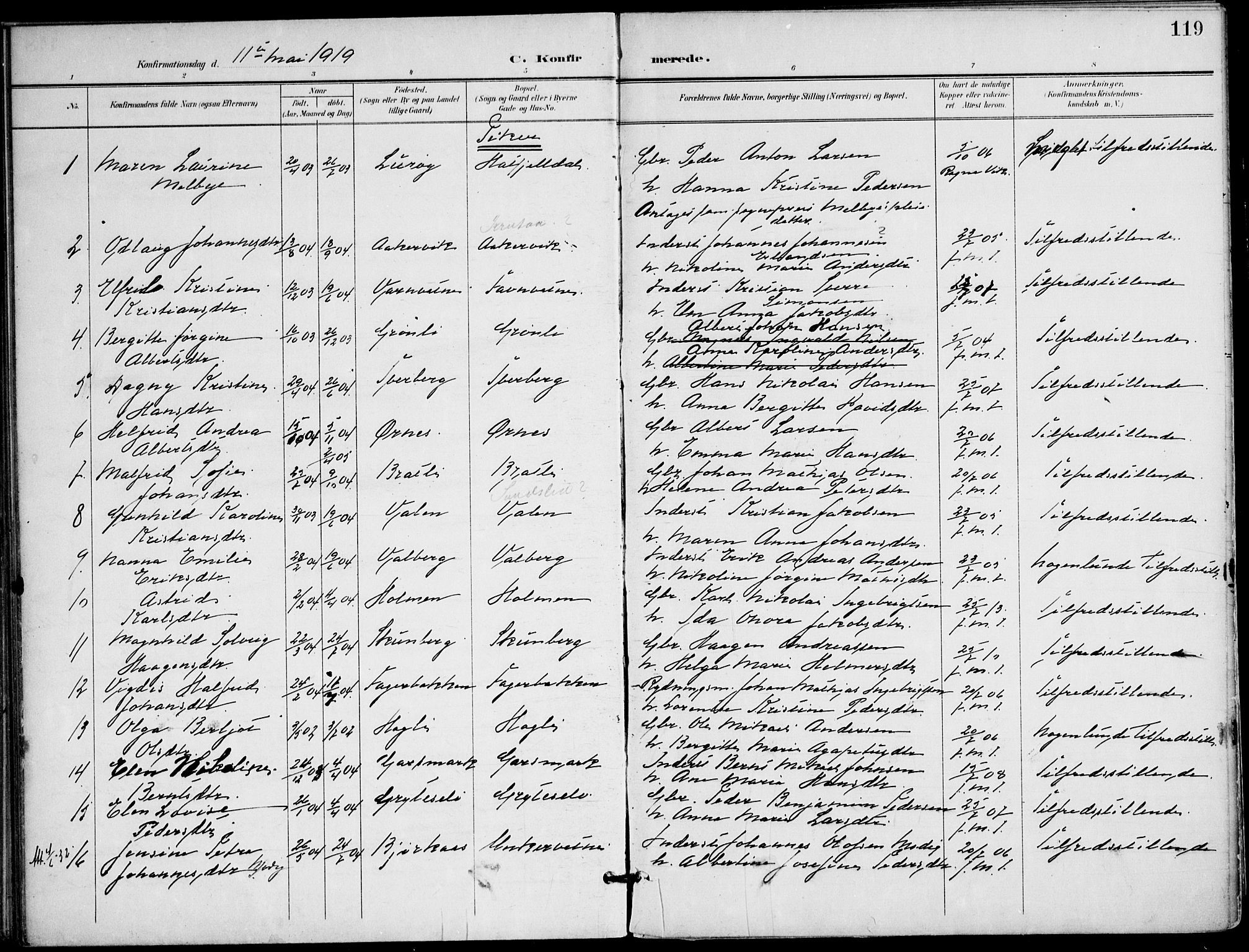 Ministerialprotokoller, klokkerbøker og fødselsregistre - Nordland, AV/SAT-A-1459/823/L0326: Parish register (official) no. 823A03, 1899-1919, p. 119