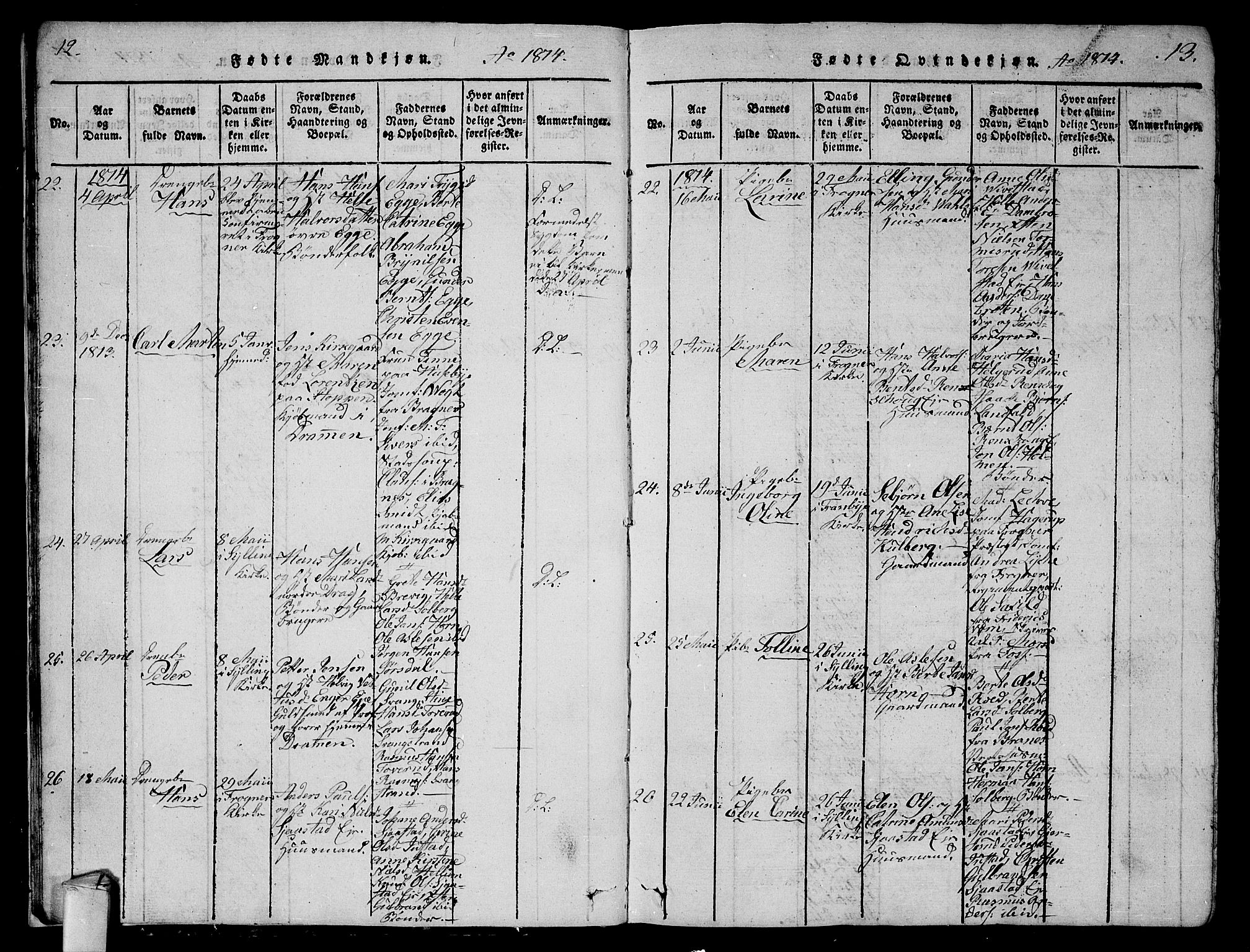 Lier kirkebøker, AV/SAKO-A-230/G/Ga/L0001: Parish register (copy) no. I 1, 1813-1824, p. 12-13