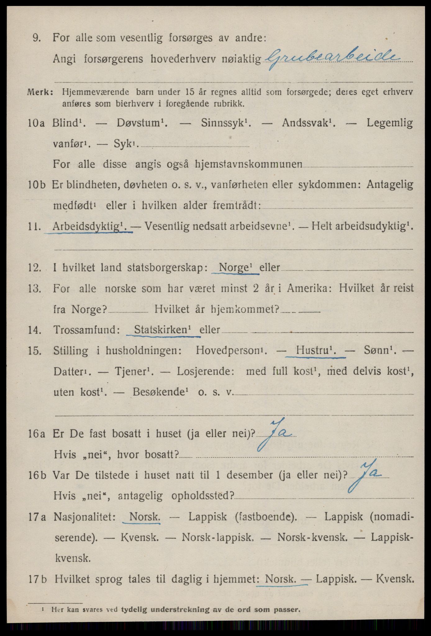 SAT, 1920 census for Røros, 1920, p. 8185