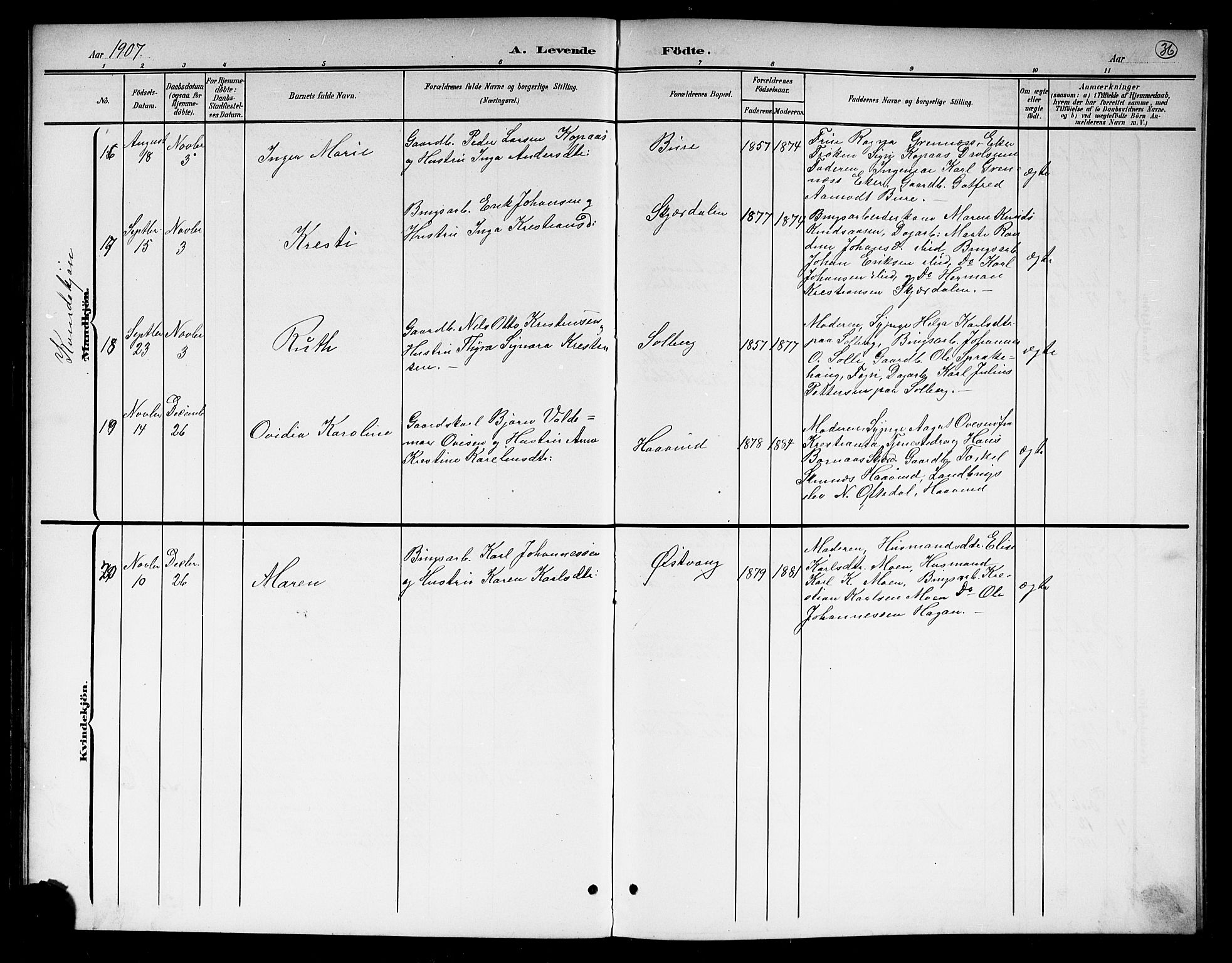 Hole kirkebøker, AV/SAKO-A-228/G/Gb/L0004: Parish register (copy) no. II 4, 1901-1916, p. 36