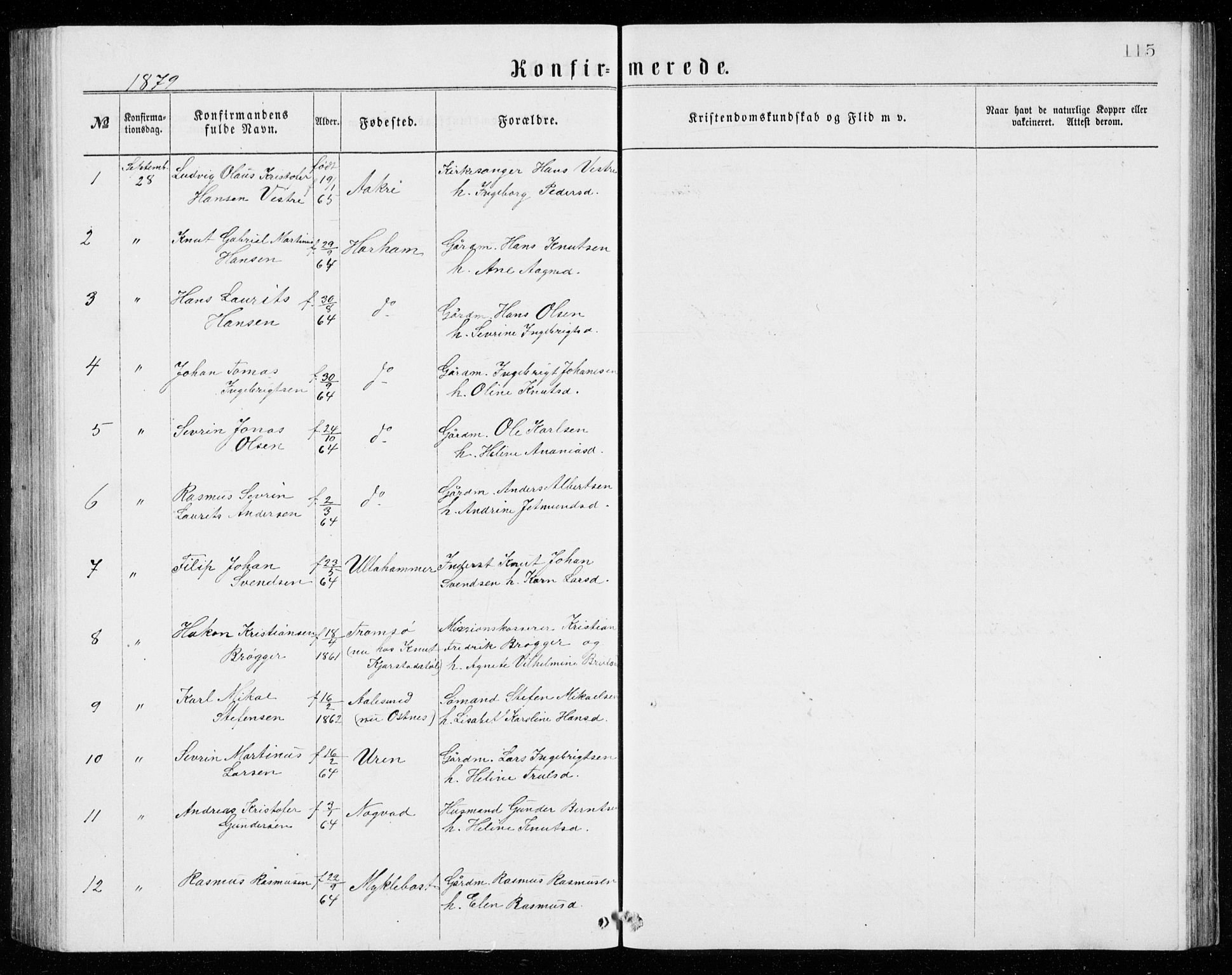 Ministerialprotokoller, klokkerbøker og fødselsregistre - Møre og Romsdal, AV/SAT-A-1454/536/L0509: Parish register (copy) no. 536C04, 1871-1881, p. 115