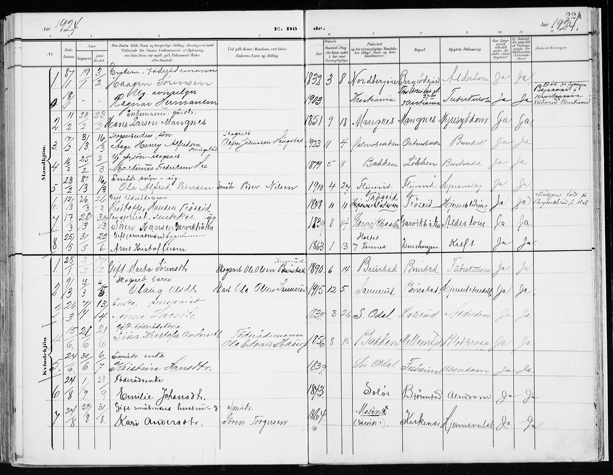 Nord-Odal prestekontor, SAH/PREST-032/H/Ha/Haa/L0009: Parish register (official) no. 9, 1902-1926, p. 224