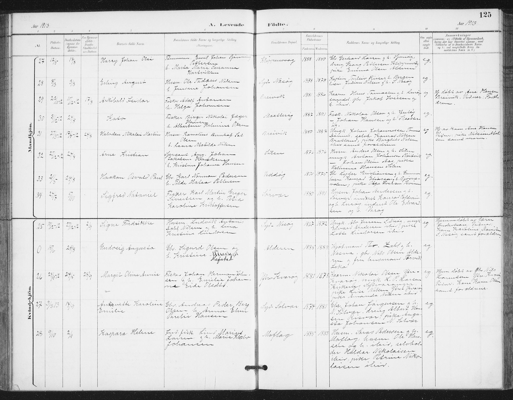 Ministerialprotokoller, klokkerbøker og fødselsregistre - Nordland, AV/SAT-A-1459/839/L0573: Parish register (copy) no. 839C03, 1892-1917, p. 125