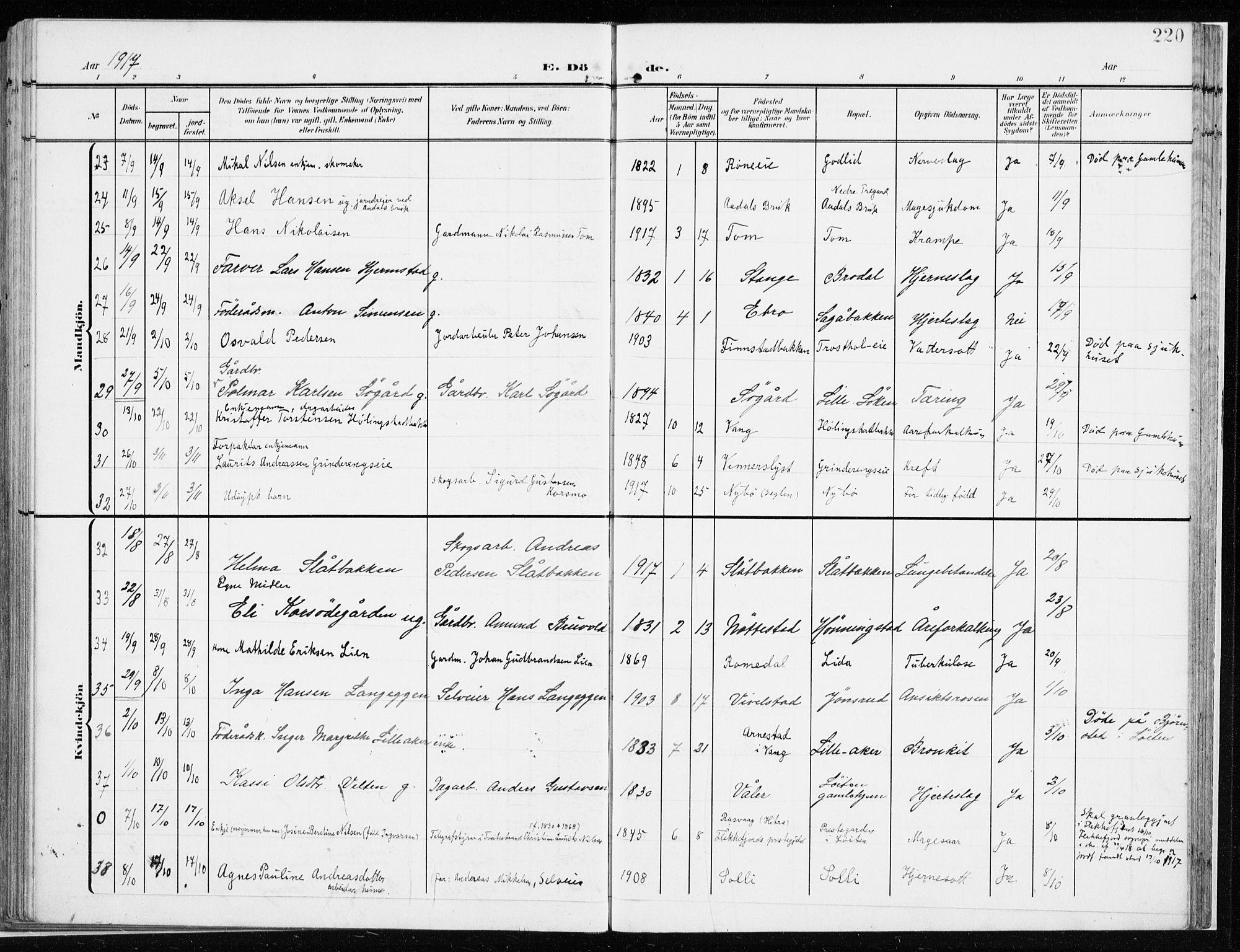 Løten prestekontor, AV/SAH-PREST-022/K/Ka/L0011: Parish register (official) no. 11, 1908-1917, p. 220