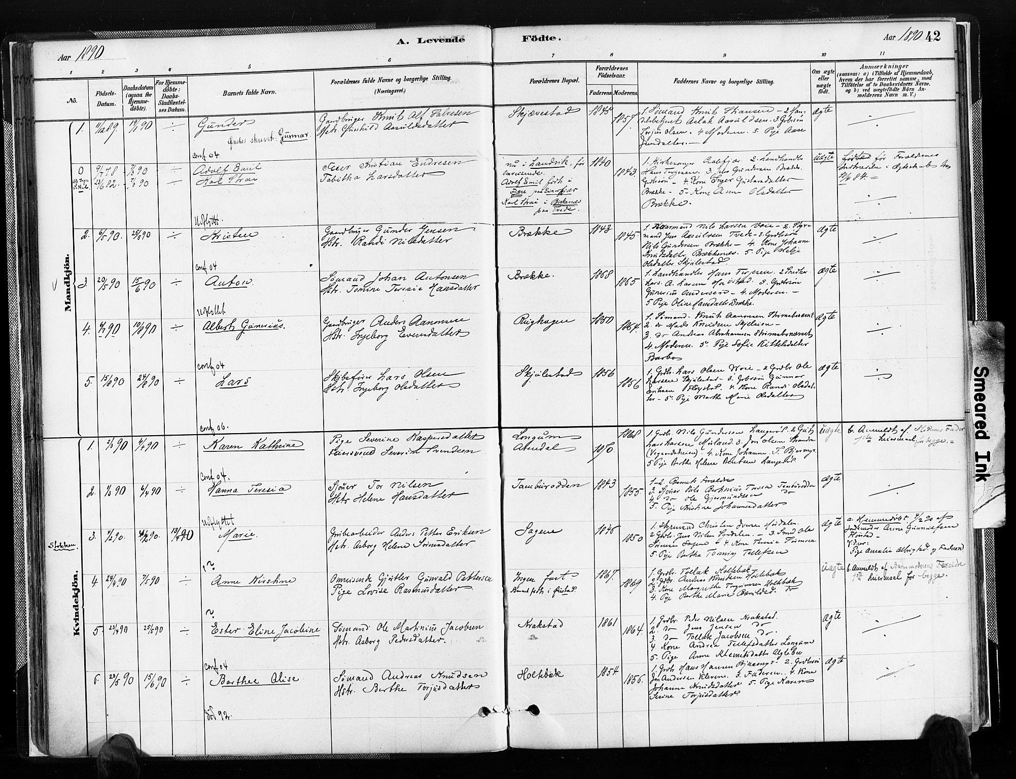 Austre Moland sokneprestkontor, SAK/1111-0001/F/Fa/Faa/L0010: Parish register (official) no. A 10, 1880-1904, p. 42