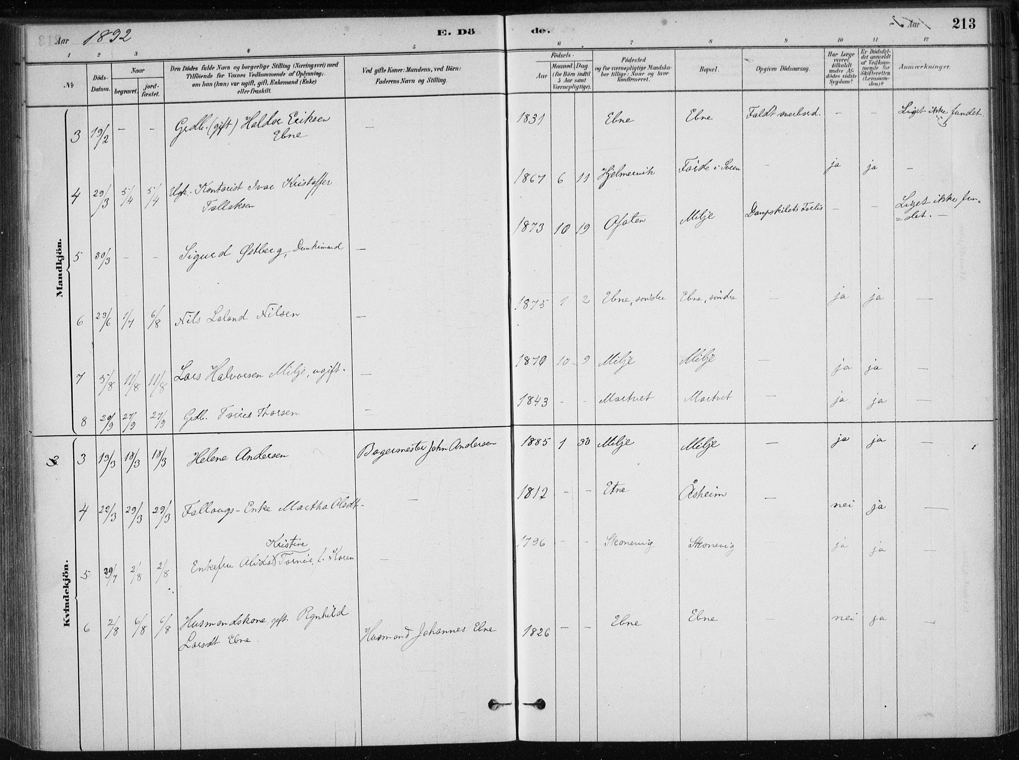 Skånevik sokneprestembete, AV/SAB-A-77801/H/Haa: Parish register (official) no. B 1, 1879-1914, p. 213