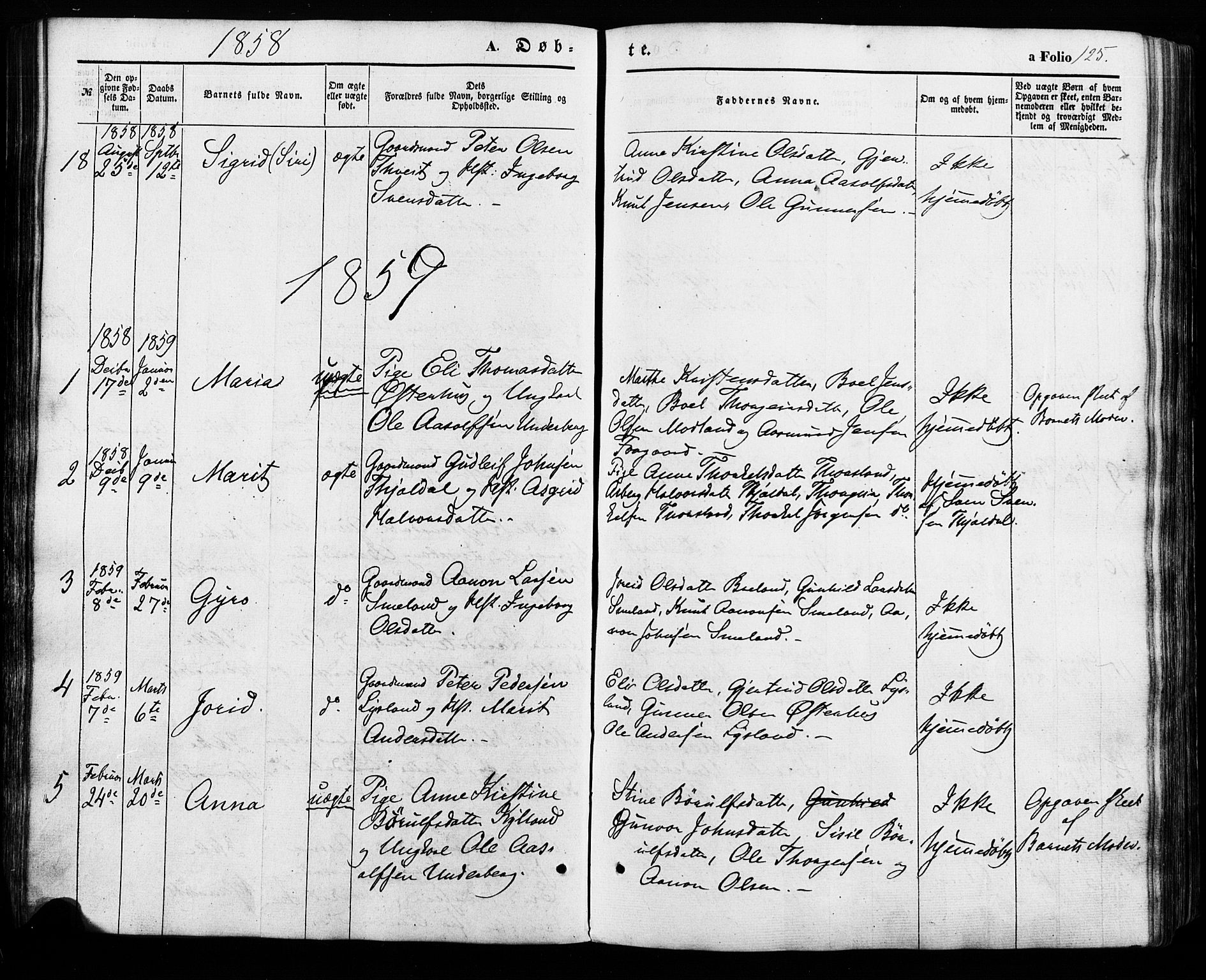 Åseral sokneprestkontor, SAK/1111-0051/F/Fa/L0002: Parish register (official) no. A 2, 1854-1884, p. 125