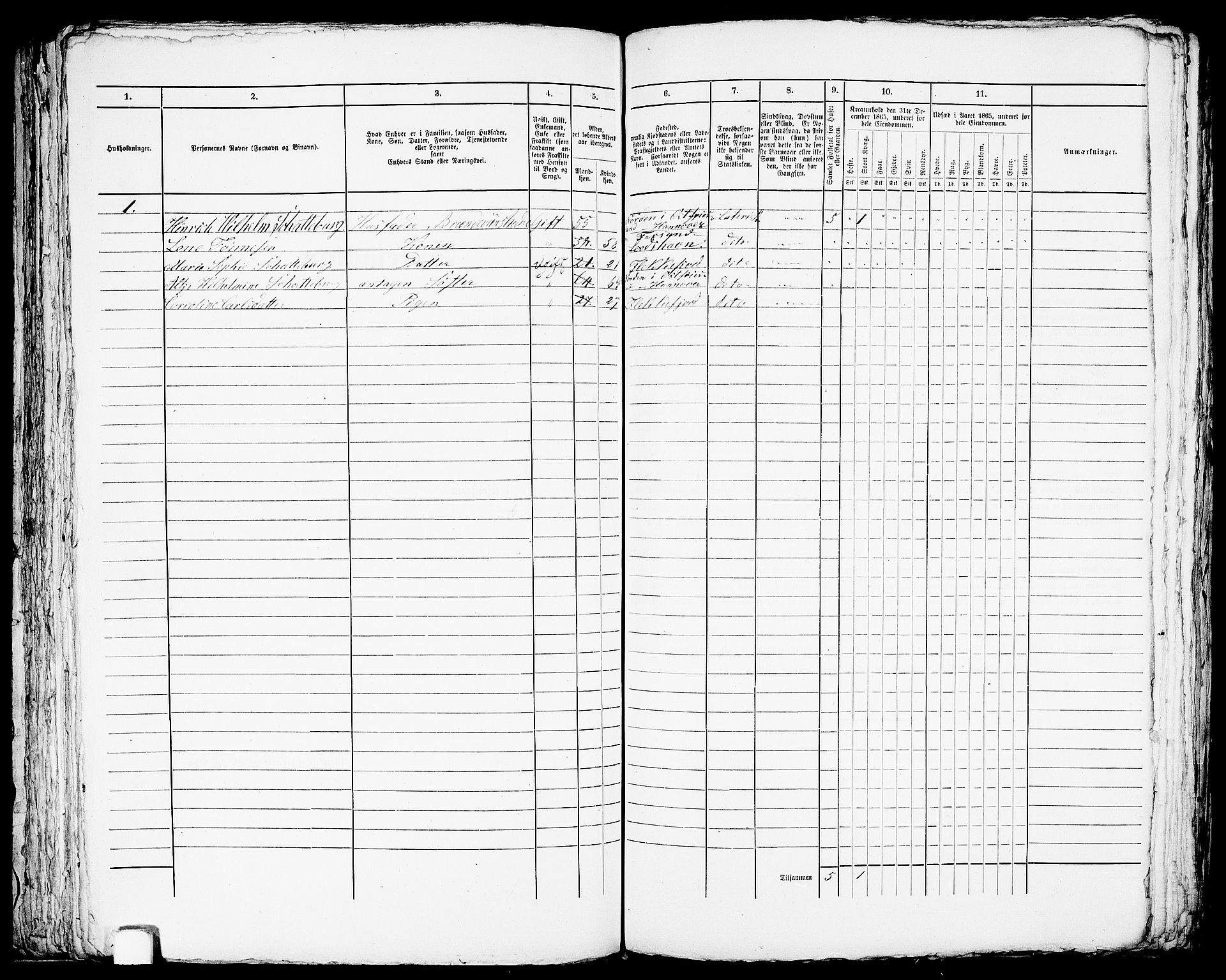 RA, 1865 census for Flekkefjord/Flekkefjord, 1865, p. 153